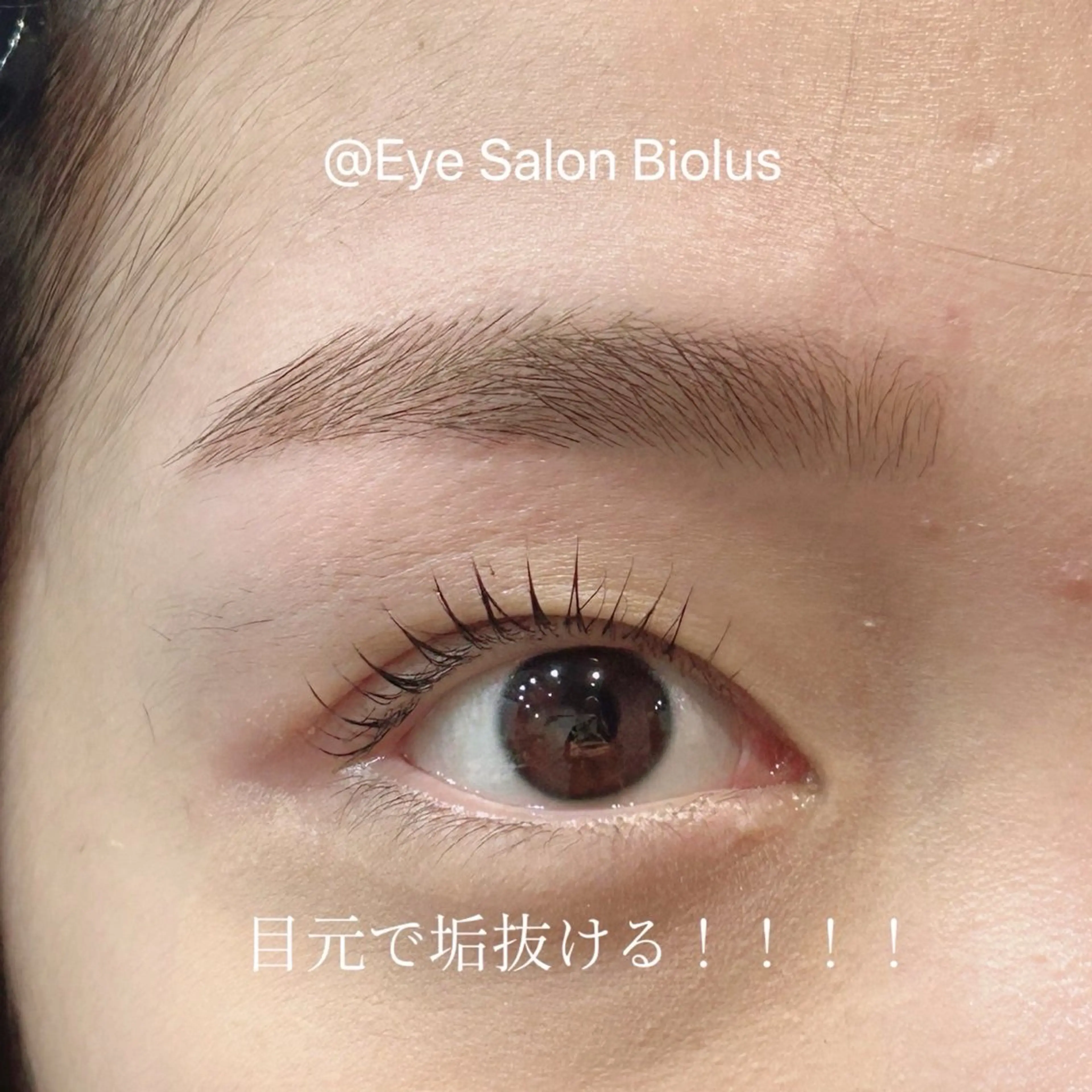 マツエク・マツパ Biolus／天王寺 ２号店🌼Arisaのマツエク・マツパデザイン