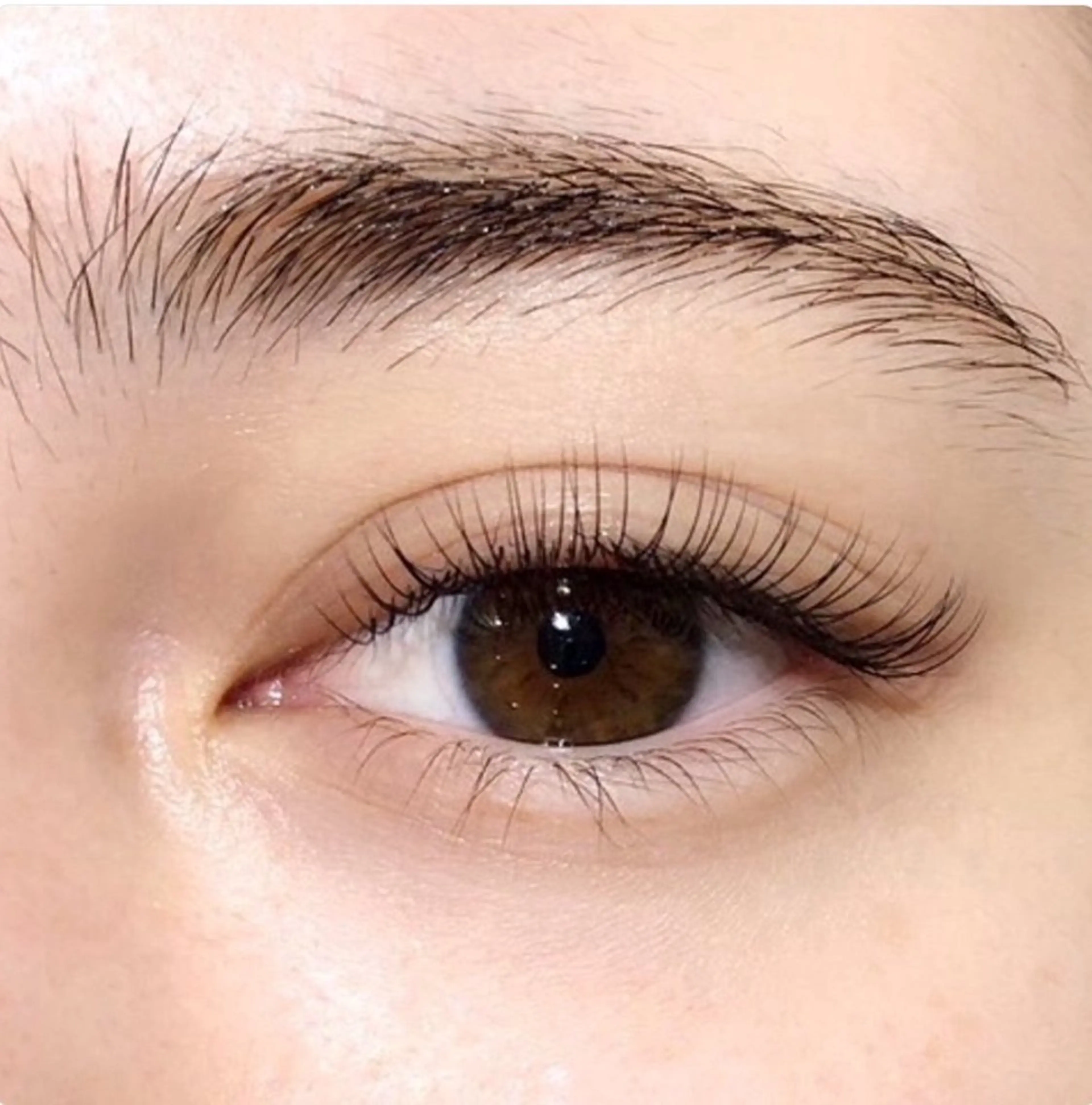 🐥19日〜21日新規のみ🐥マツエクフラットラッシュmax120本👀✨3960円で募集中です🫧の写真