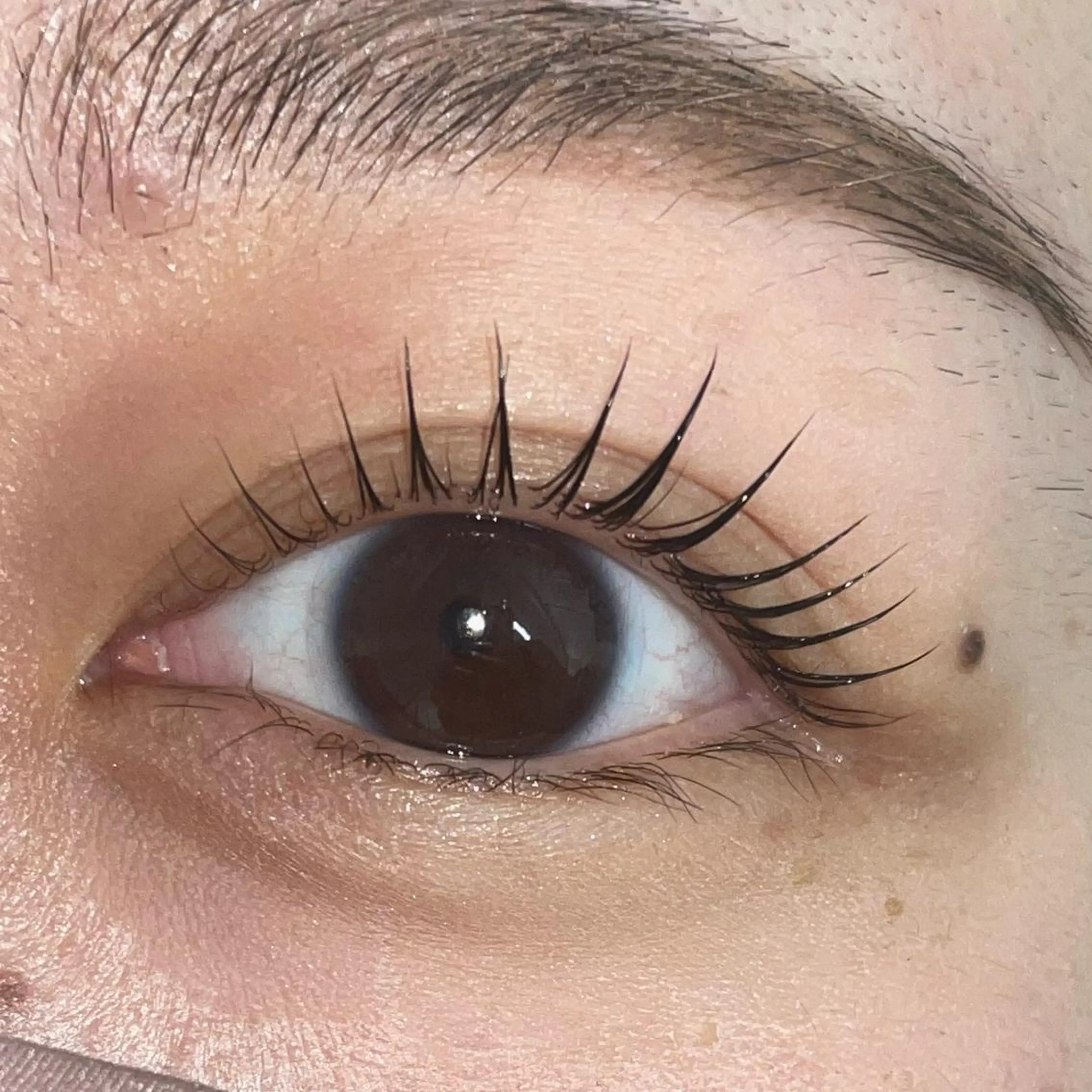 マツエク・マツパ ナチュラル パリジェンヌラッシュリフト マツパ ♡ MIYU♡のマツエク・マツパデザイン