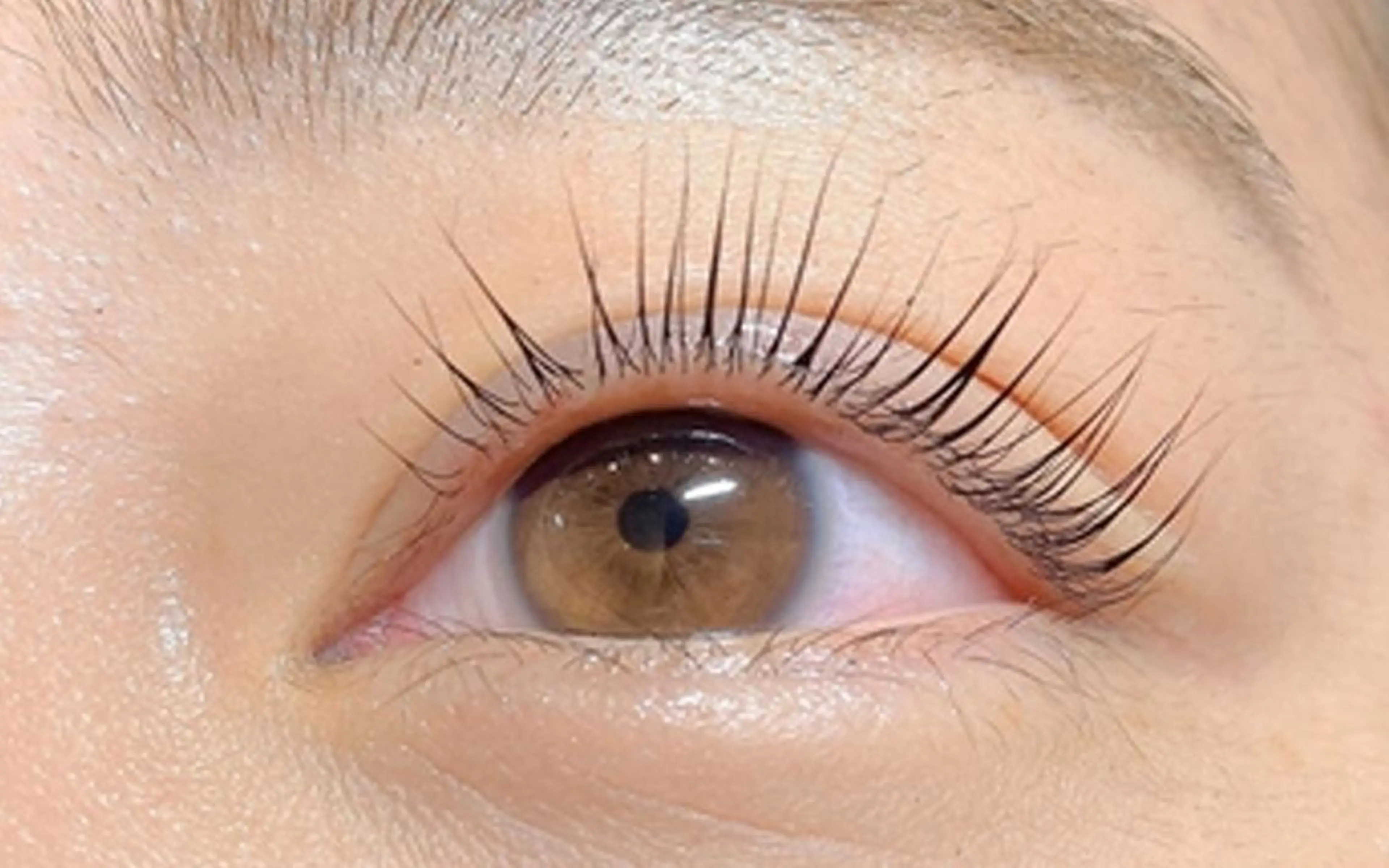 マツエク・マツパ LUMIA eye lash garden所属・LUMIA gardenの眉毛・アイブロウイメージ