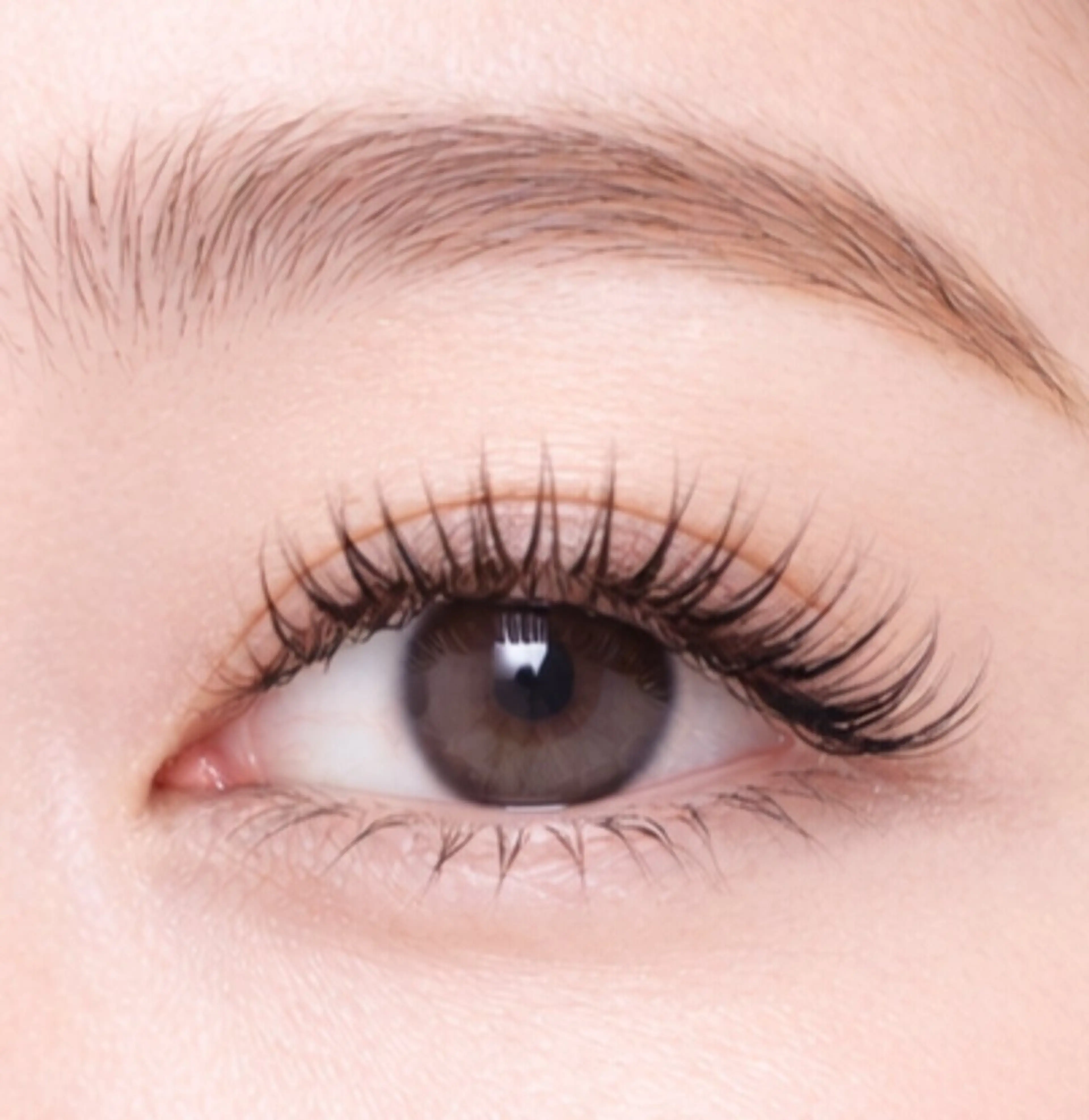 【minimo限定】まつ毛パーマ　上下セット　コーティング付の写真