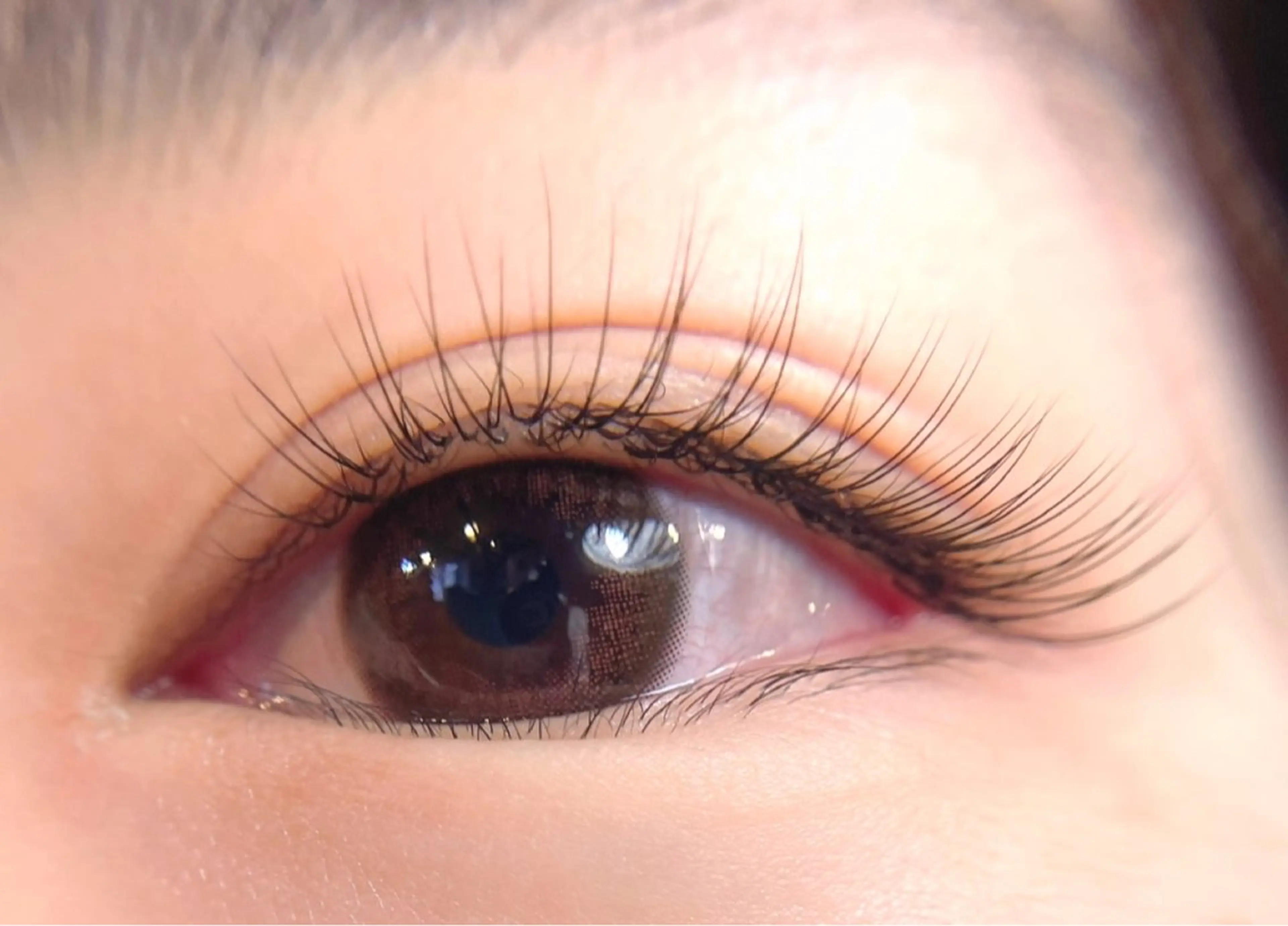 マツエク・マツパ マツエク PRIMO🐈🌱 マツパ/黒ティントのマツエク・マツパデザイン