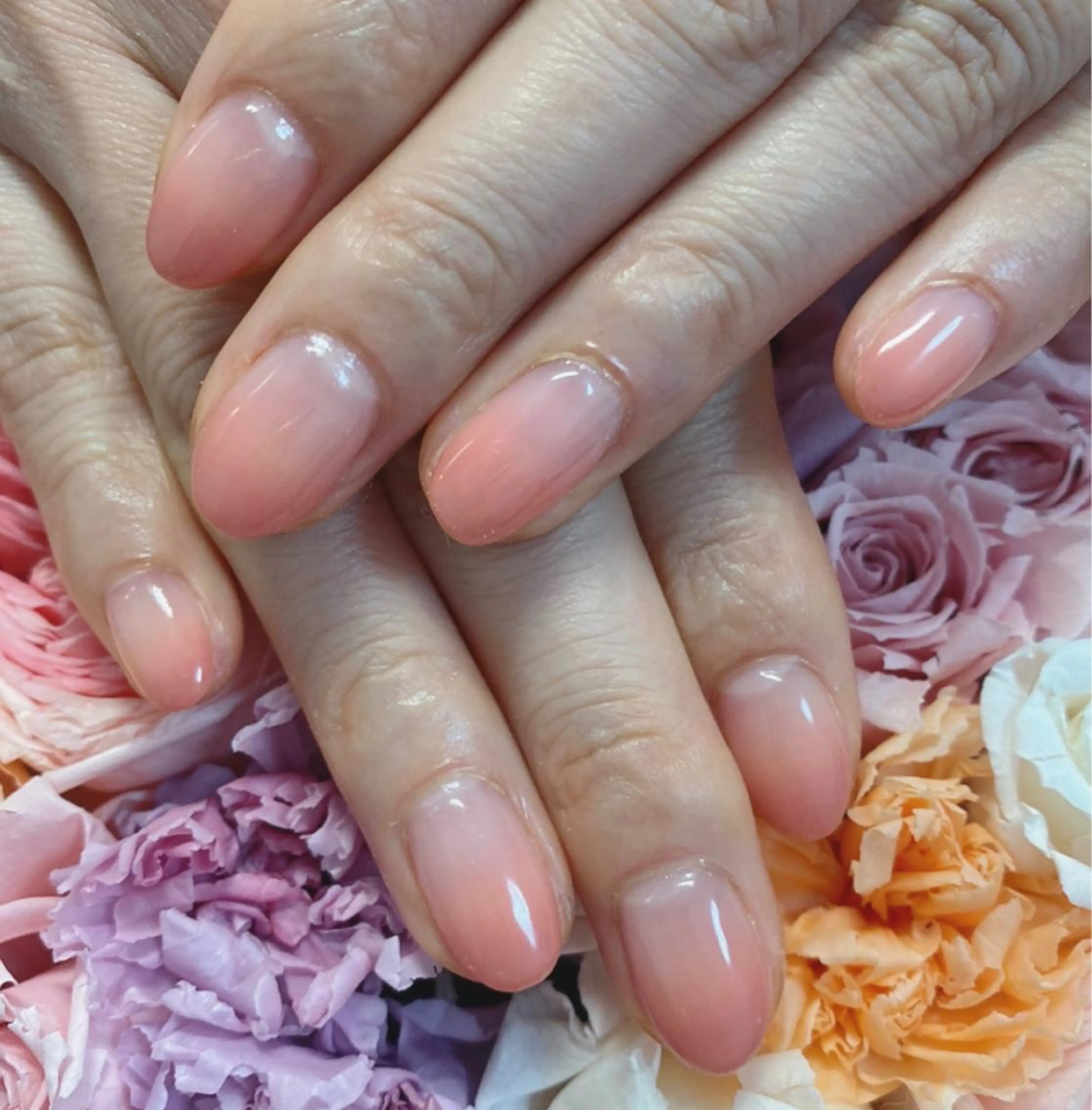 ネイル ジェルネイル グラデーション ネイルPetit Ribbonのネイルデザイン