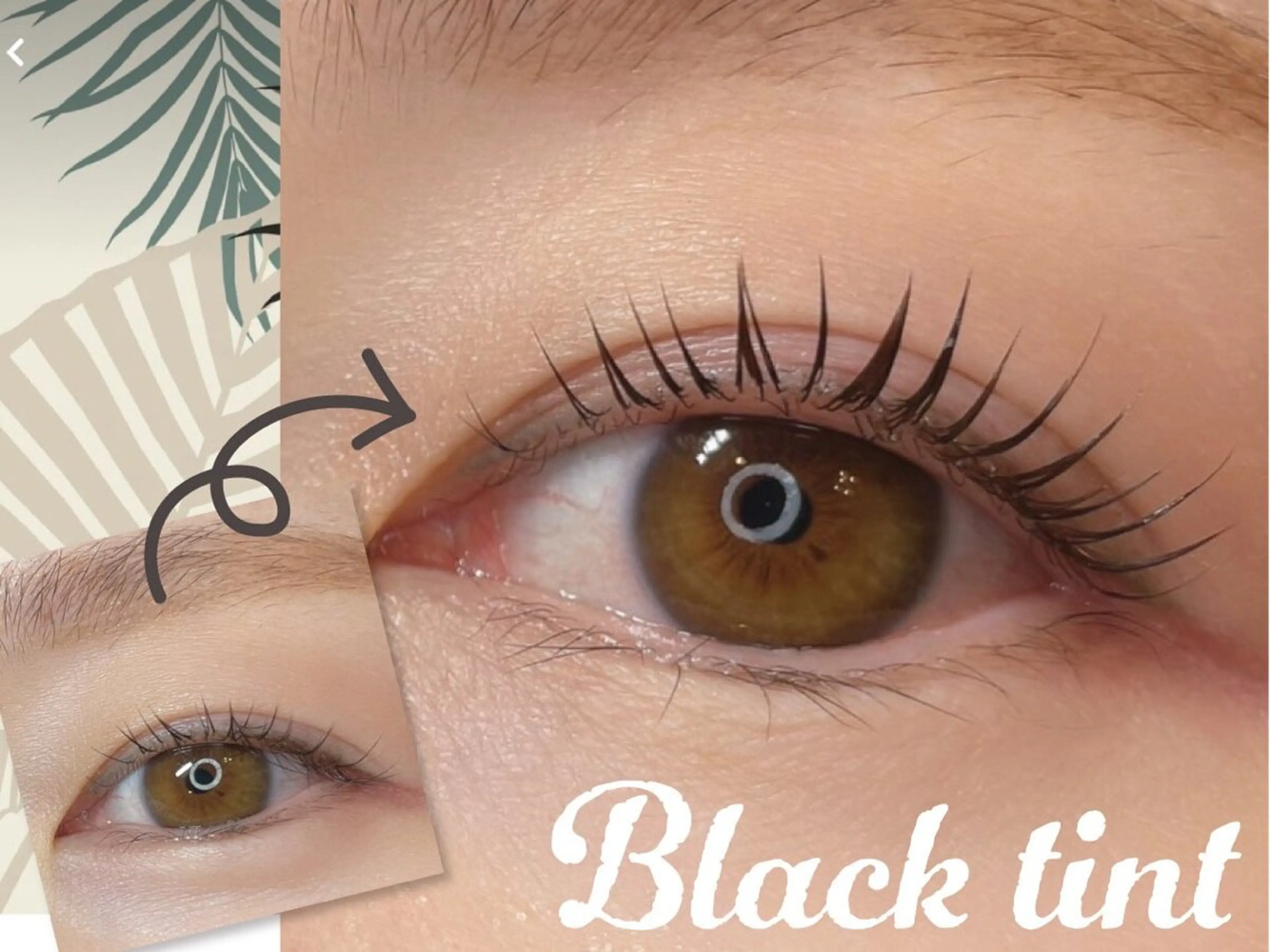 【韓国発】ブラックティントパーマの写真