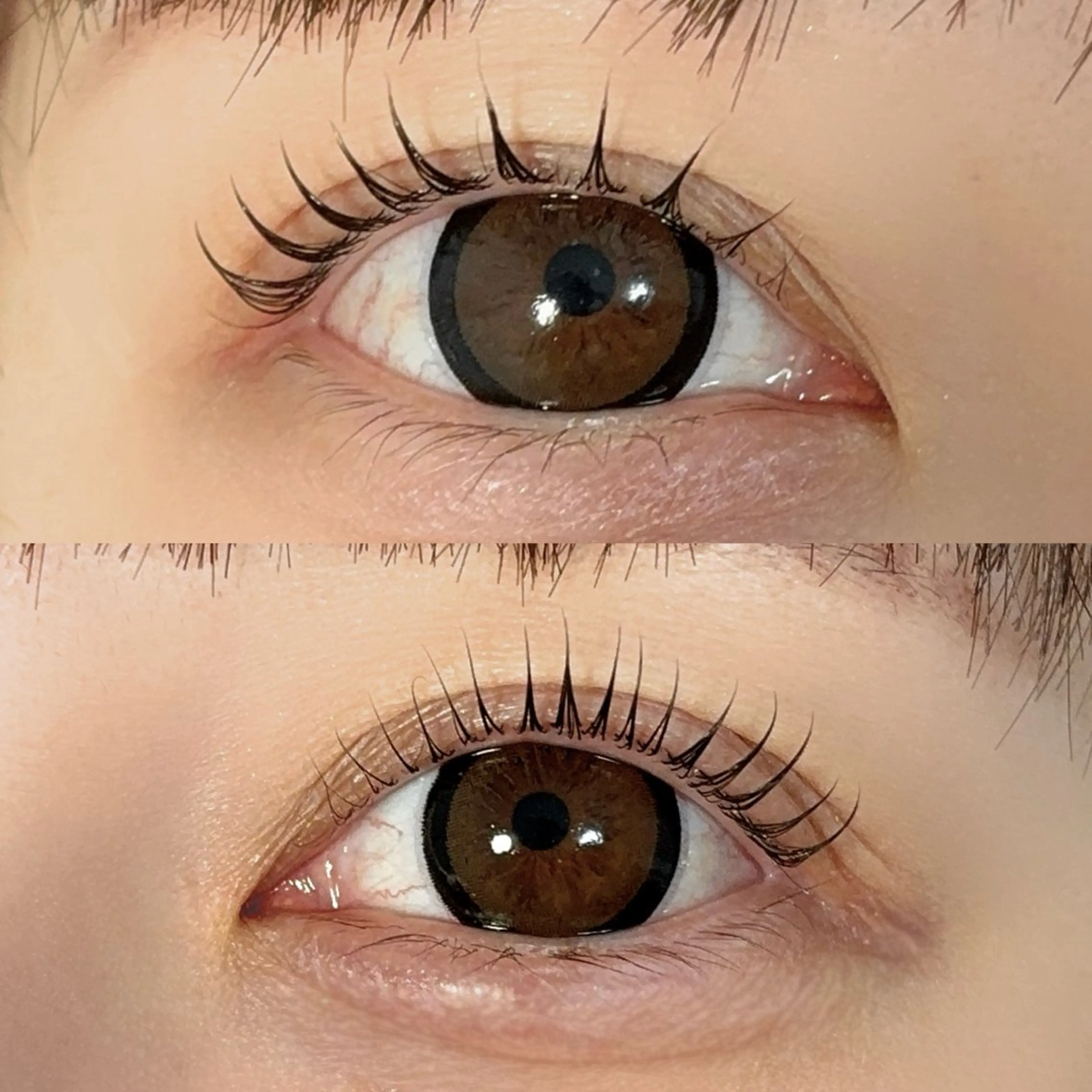 マツエク・マツパ マツパ - Sol - Ayaのマツエク・マツパデザイン