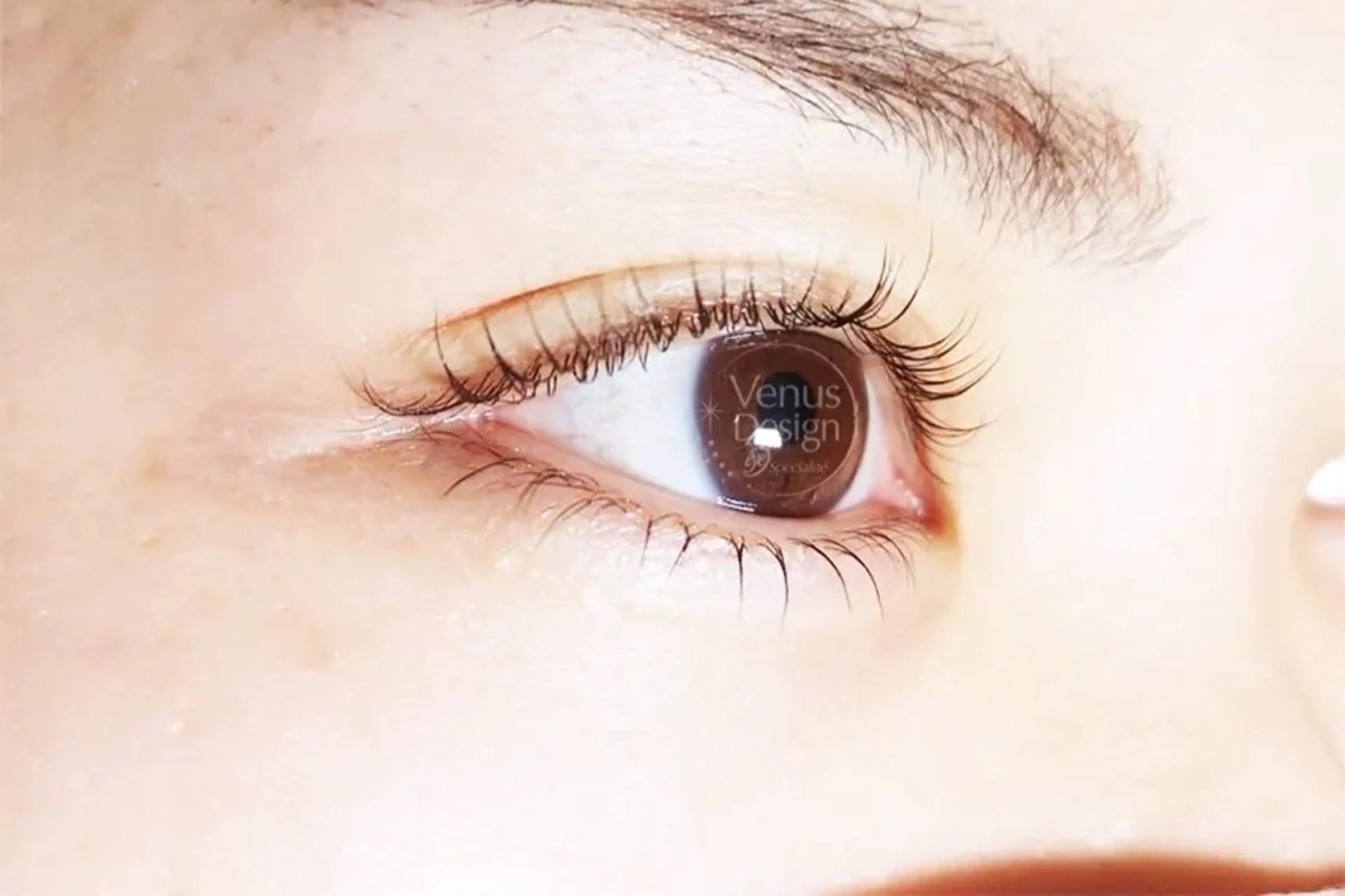 上下まつ毛パーマ￥8000→￥6000の写真