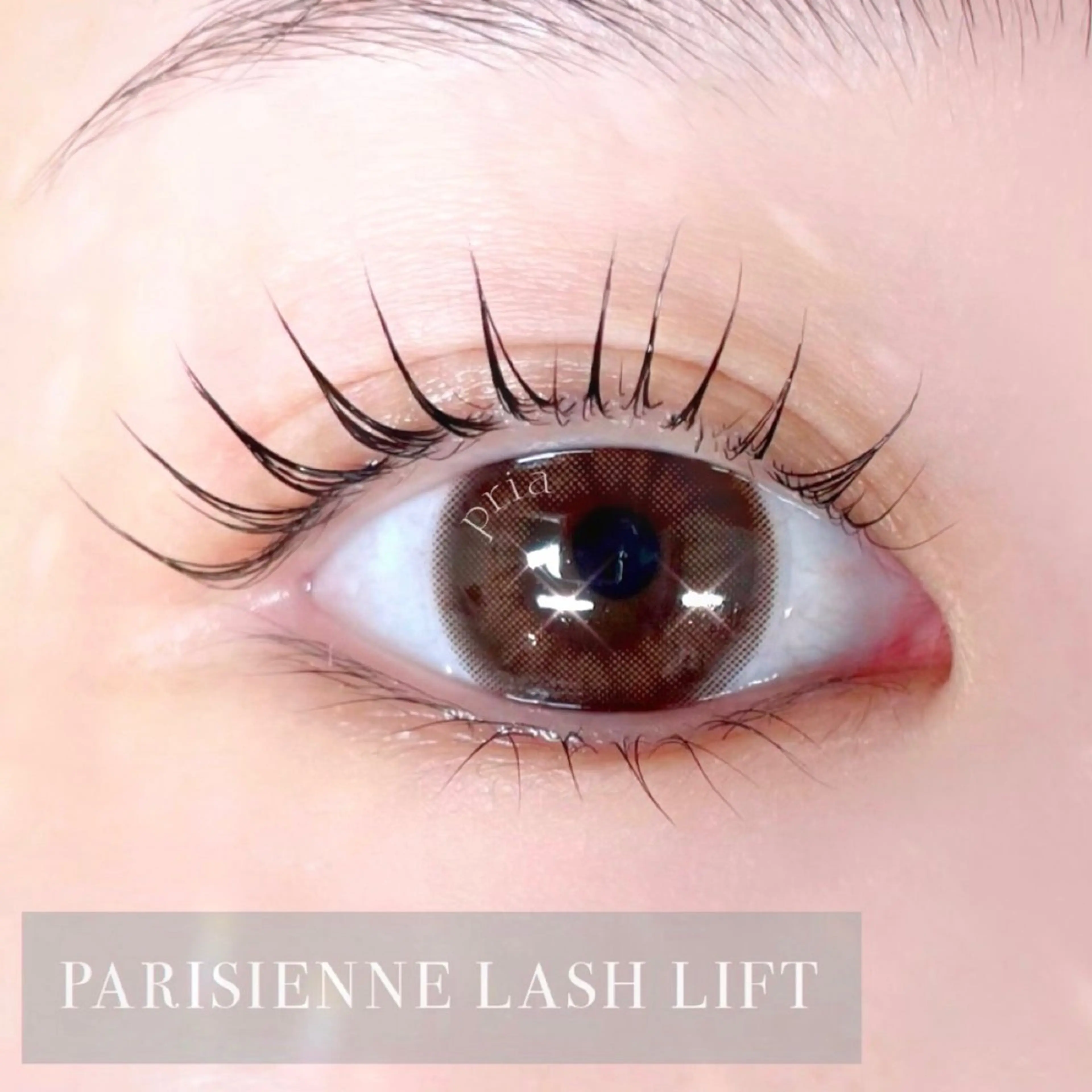 マツエク・マツパ pria【プリア】 yukiのマツエク・マツパデザイン