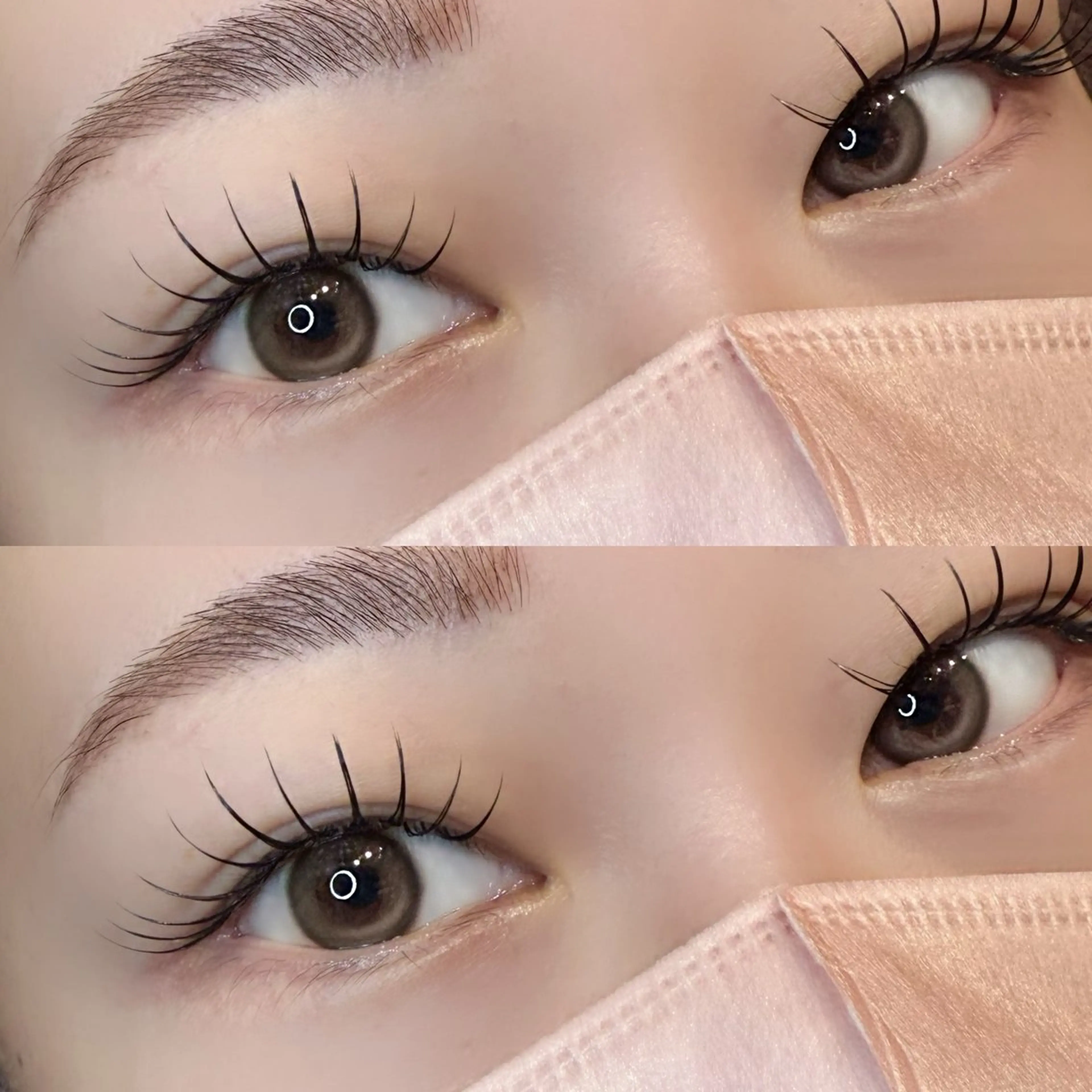 ✨ダブルフラットラッシュ60束✨+コーティング1本の写真