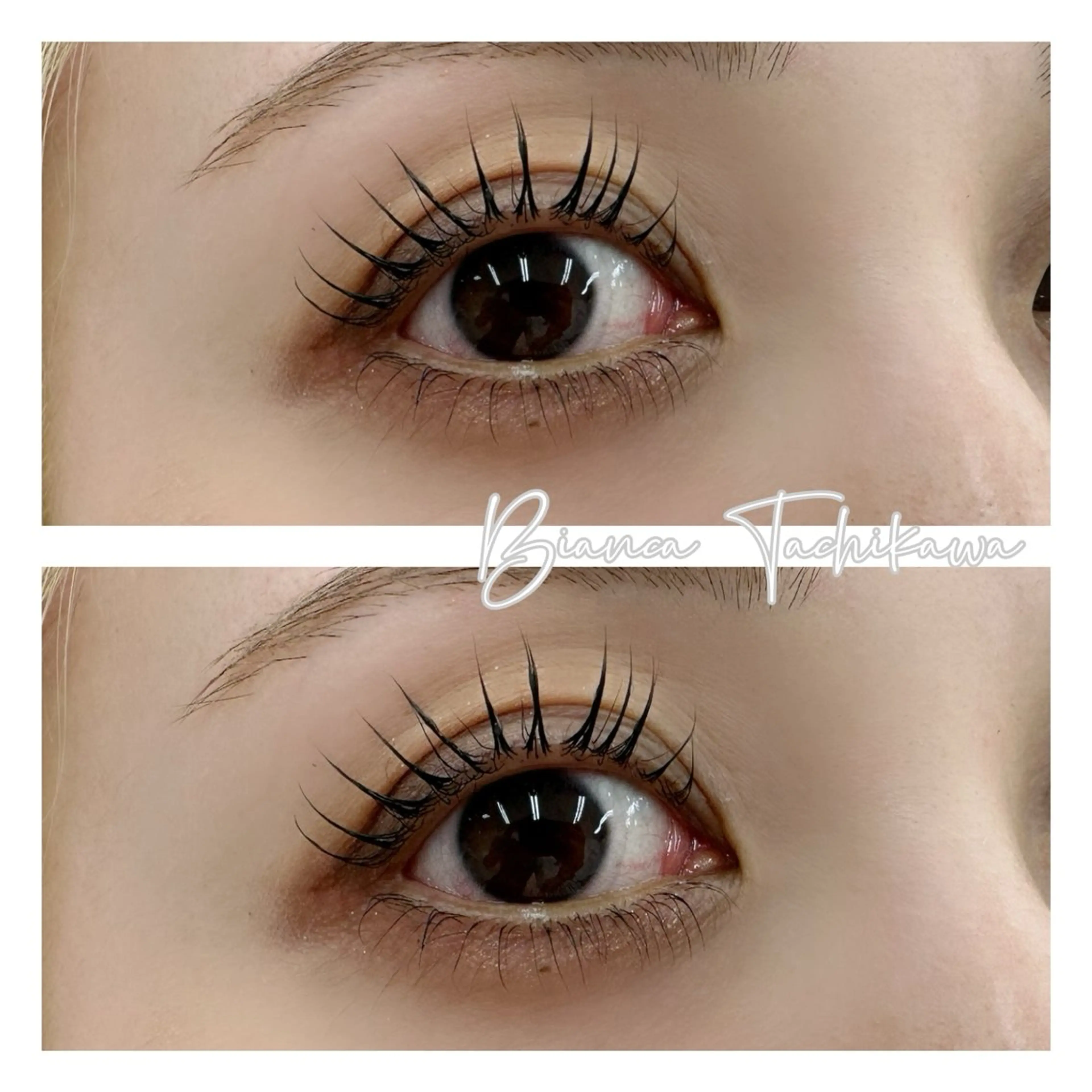 《韓国発🌟マスカラパーマ》上まつ毛パーマ×ブラックティント👀🪄︎︎✨¥6230【立川】の写真