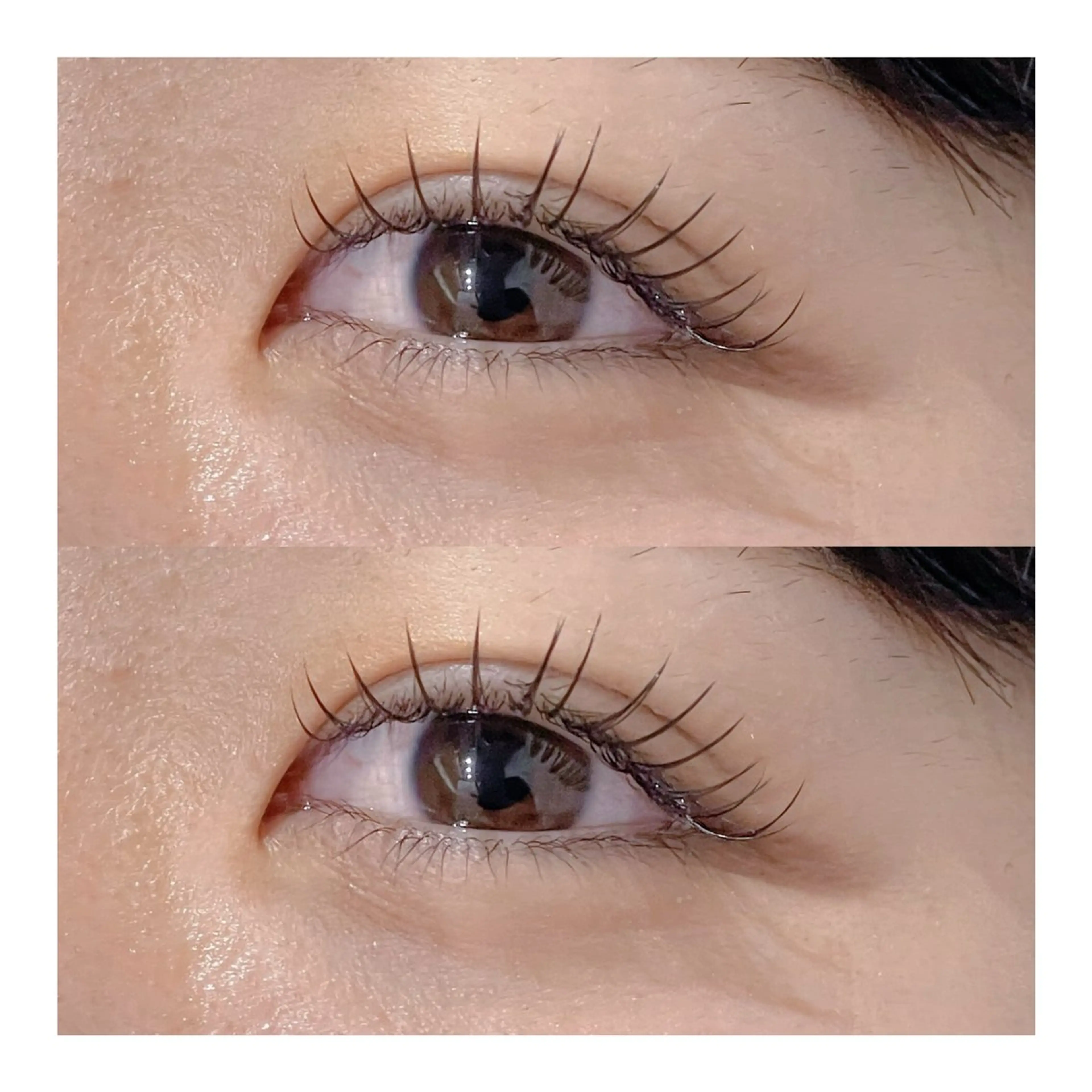 🩷フラットラッシュ100本/オフ無料の写真