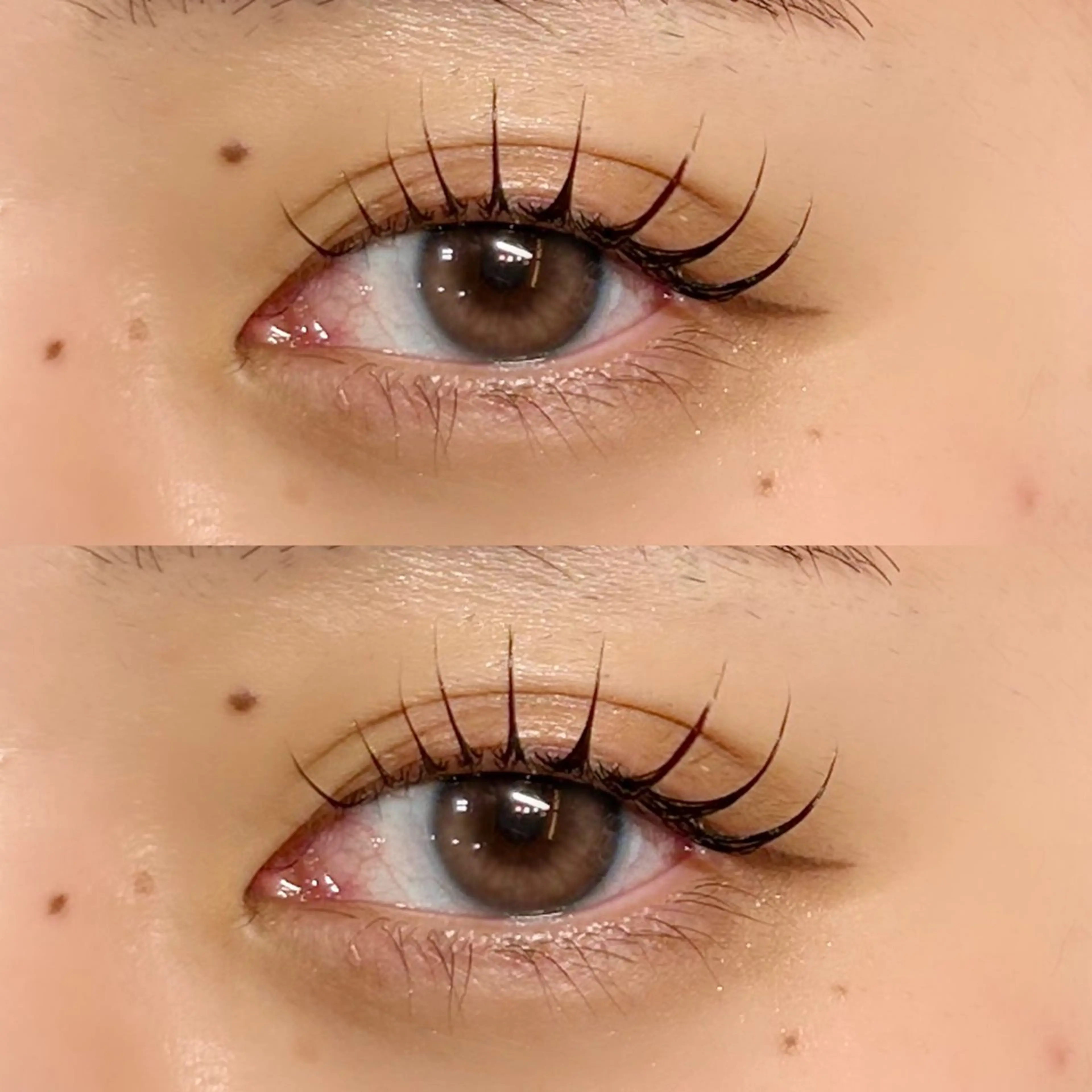 マツエク・マツパ Lebon eyelash所属・Lebon eye serina🦋のマツエク・マツパデザイン