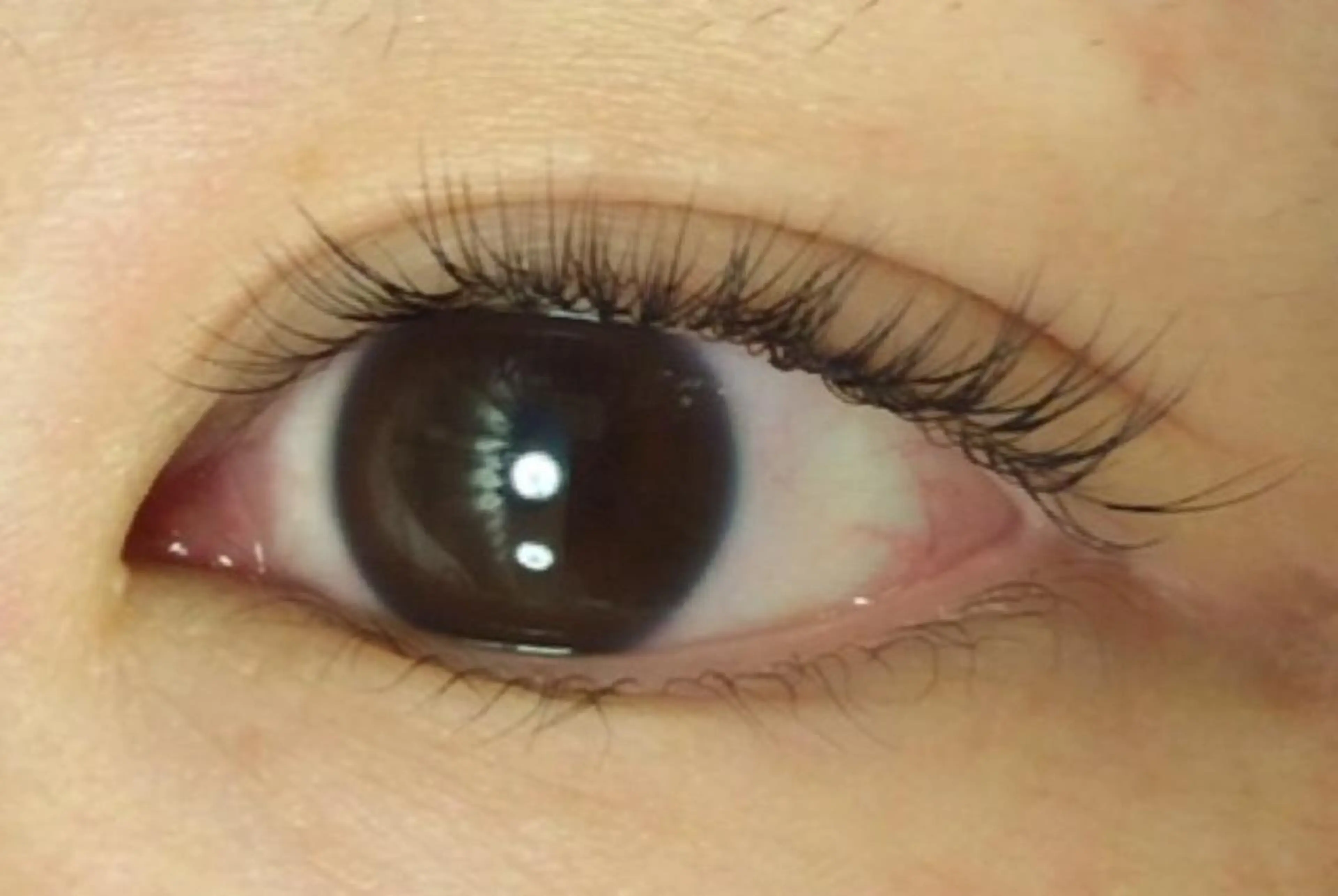 マツエク・マツパ ジュニア　アイリスト ネイリストの眉毛・アイブロウイメージ