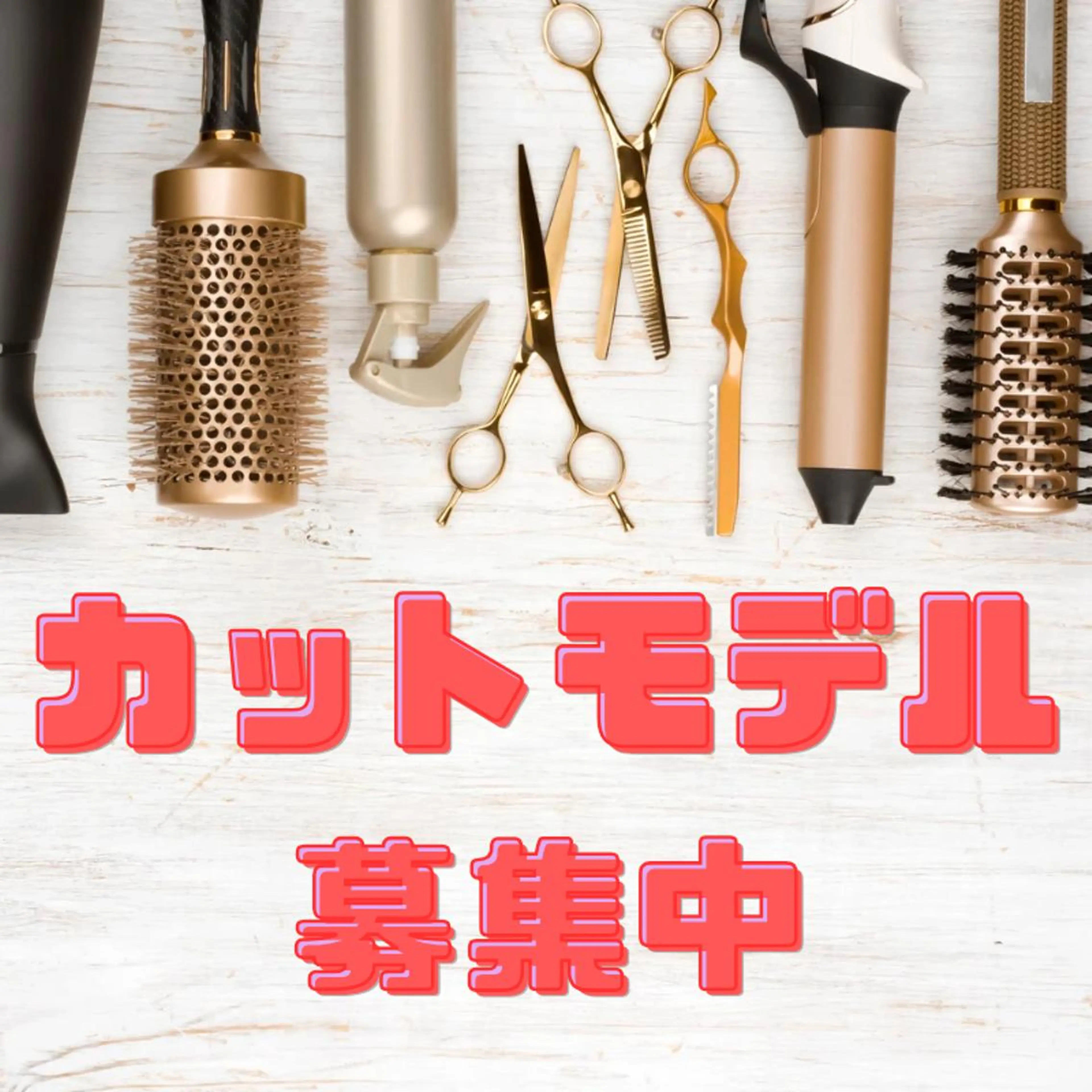 ❁2月16日(月)予約用❁カットモデル募集中✁の写真