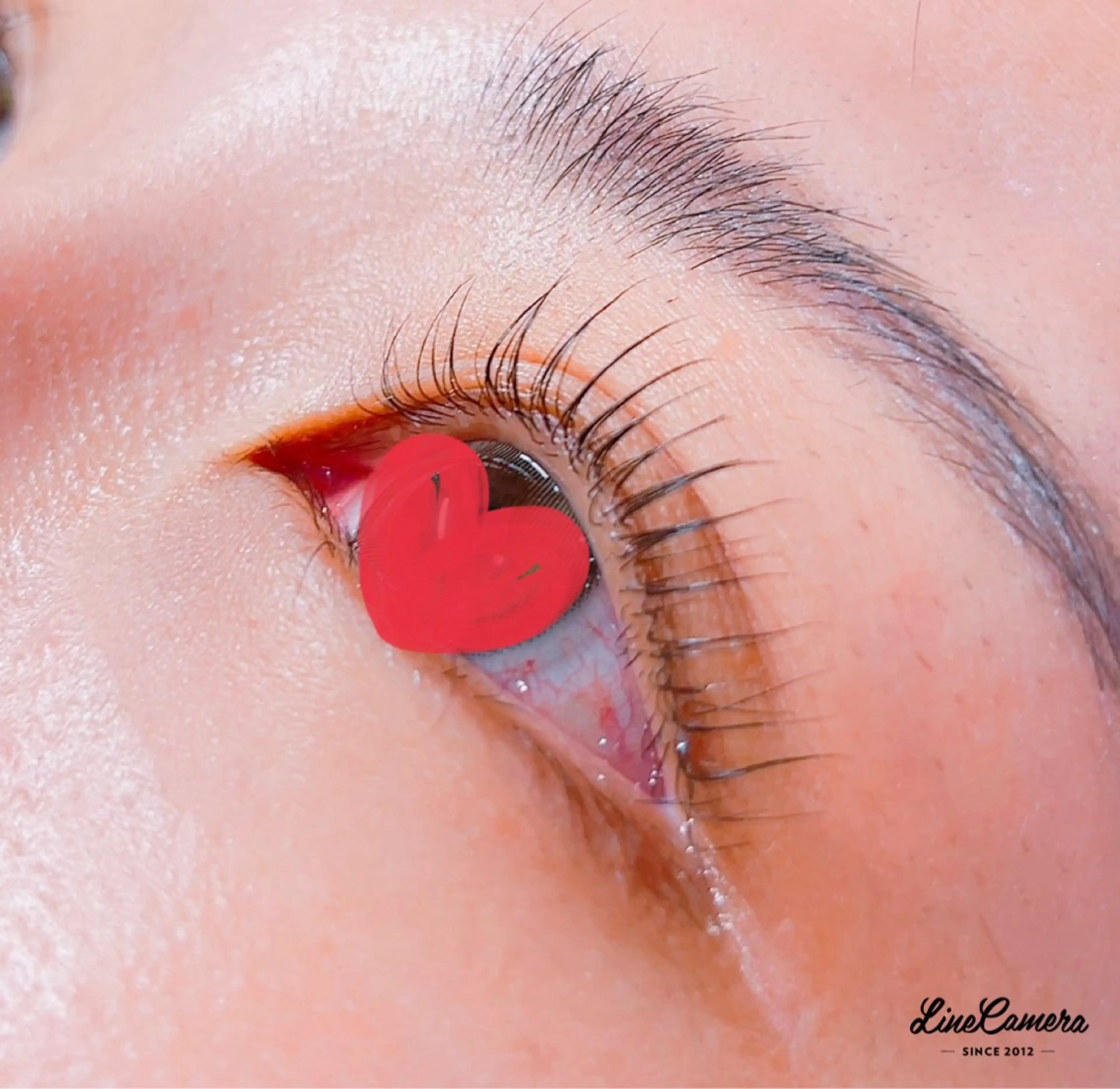 マツエク・マツパ パリジェンヌラッシュリフト MAQUIA船橋店 奥山のマツエク・マツパデザイン