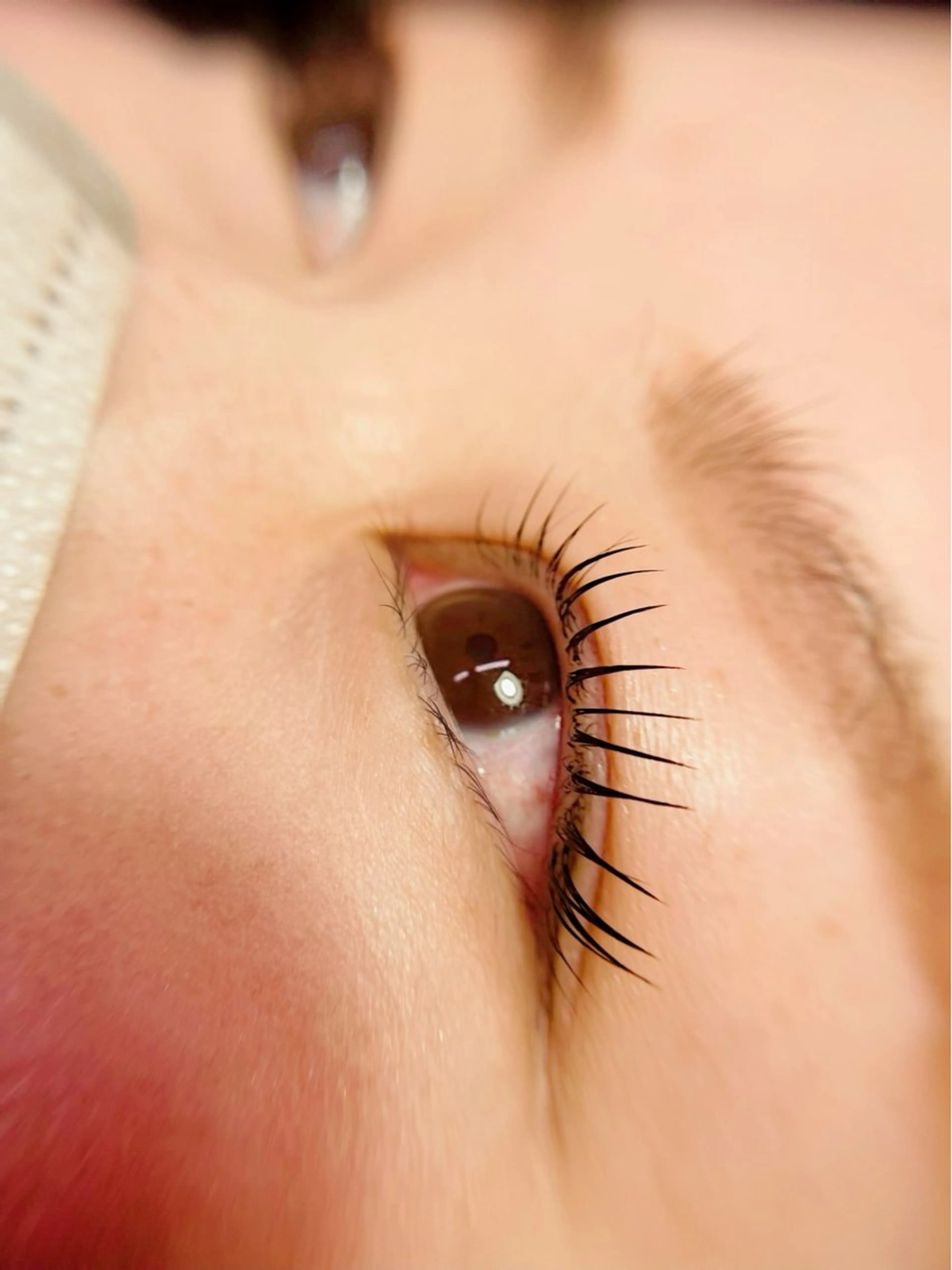 人気エクステ毛質◆フラットラッシュ120本【LED接着剤オプション可】の写真