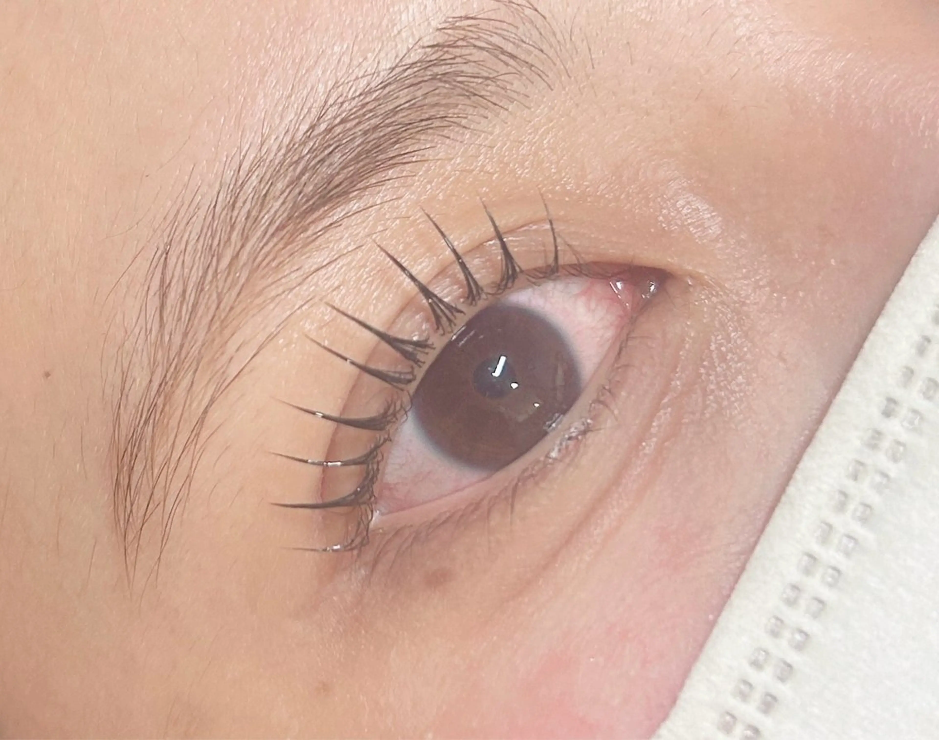 マツエク・マツパ マツパ Gran by MOLLA所属・Ciel /satoのマツエク・マツパデザイン