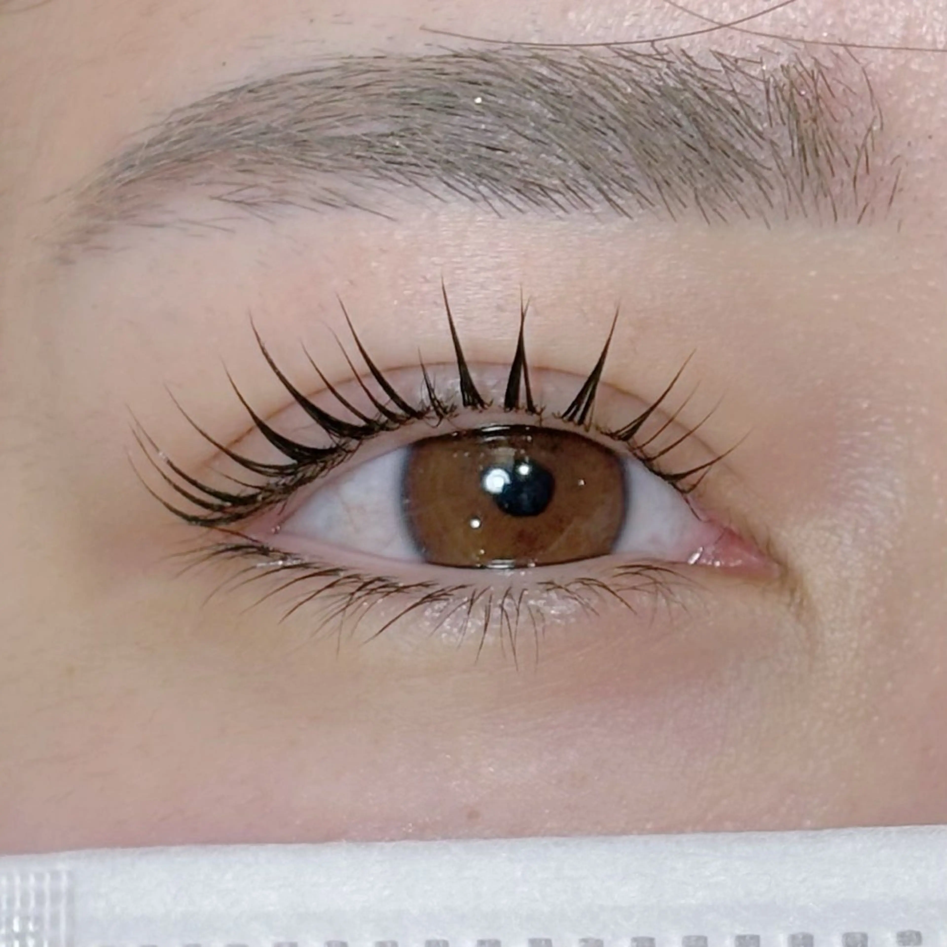 マツエク・マツパ マツパ WAVY藤沢店 🥥megumiのマツエク・マツパデザイン