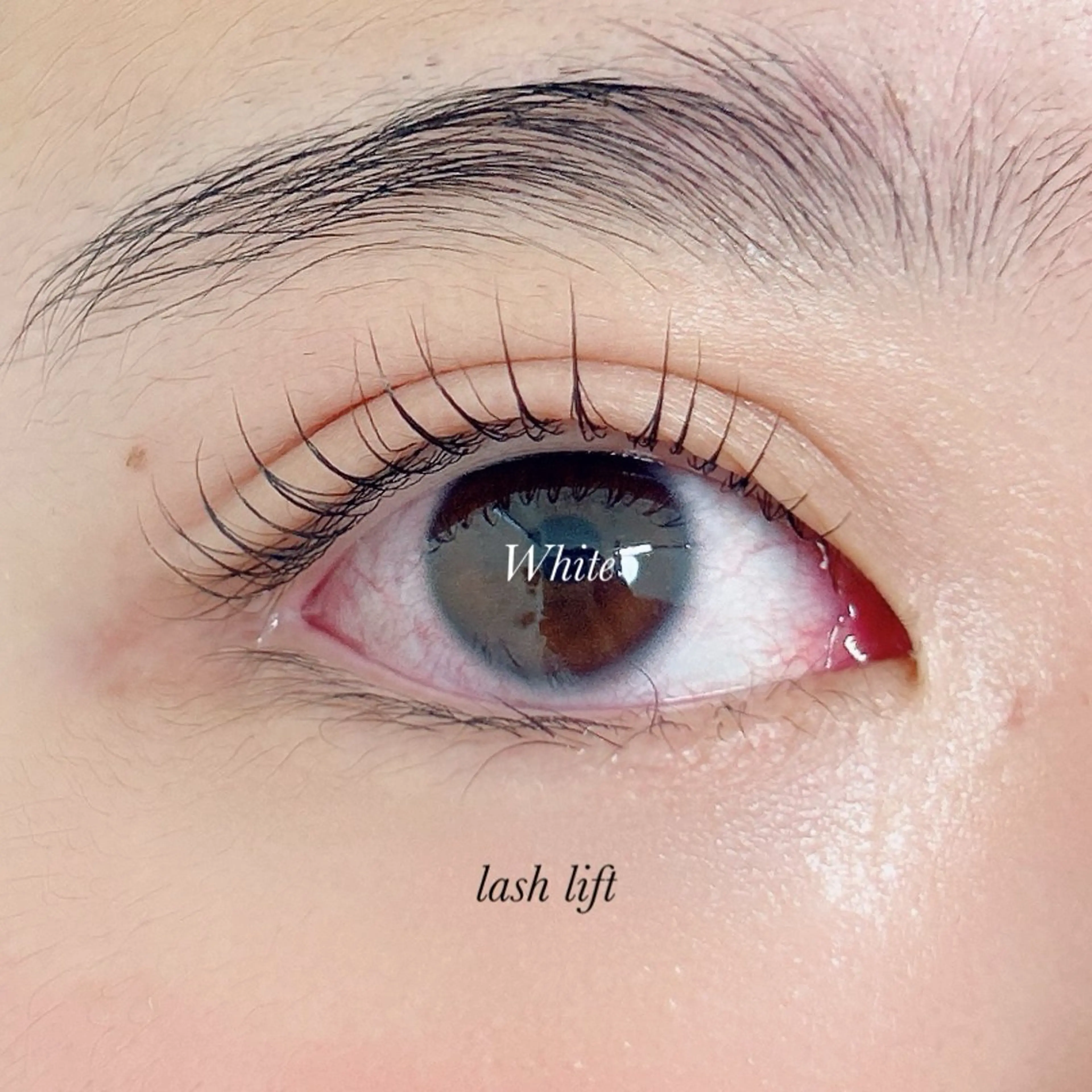 マツエク・マツパ White/マツエク /まつパ/耳つぼのマツエク・マツパデザイン