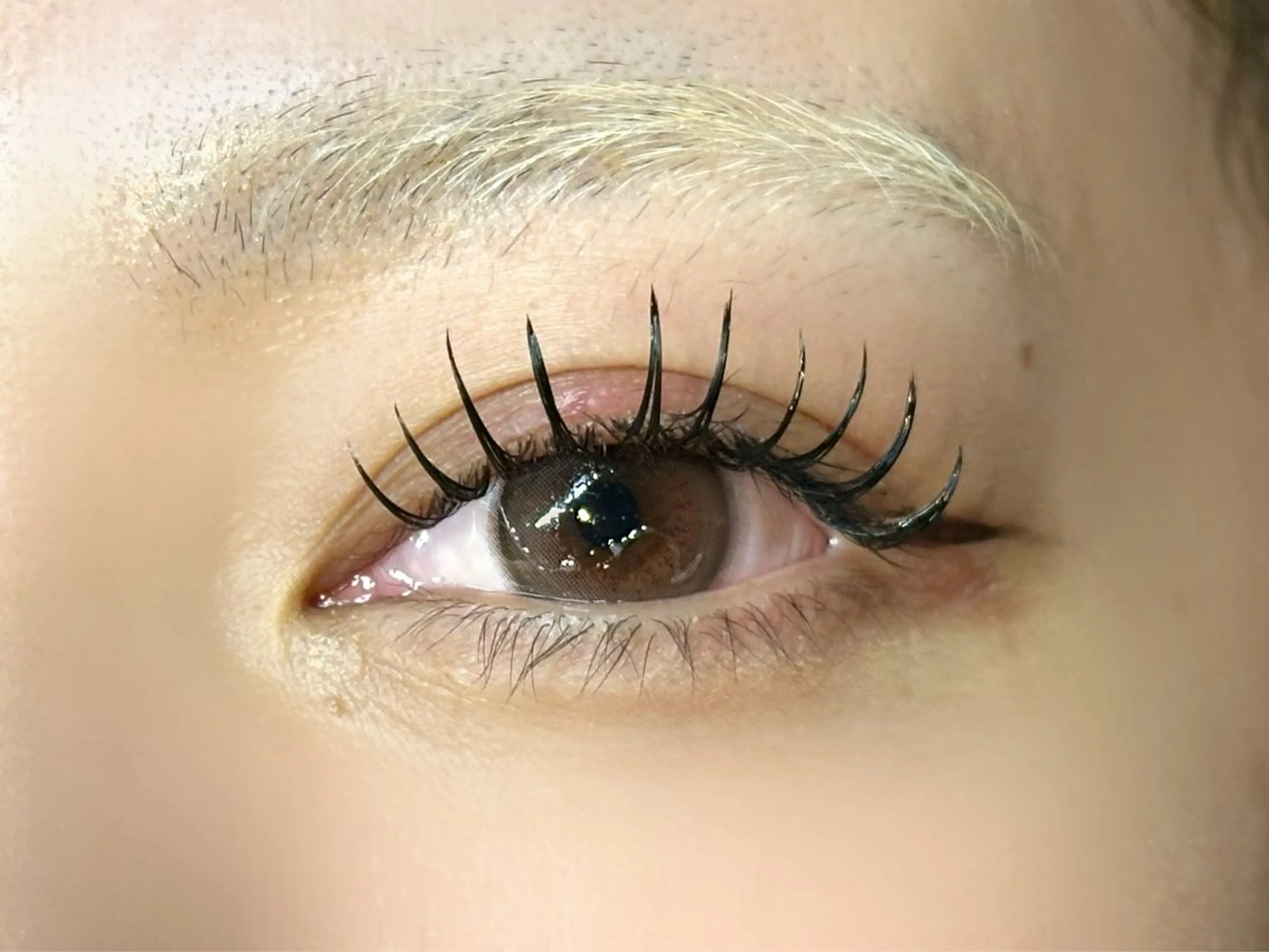 【12月限定】Wフラット🎈80束(160本)◆ご新規様オフ代無料、リペア不可の写真