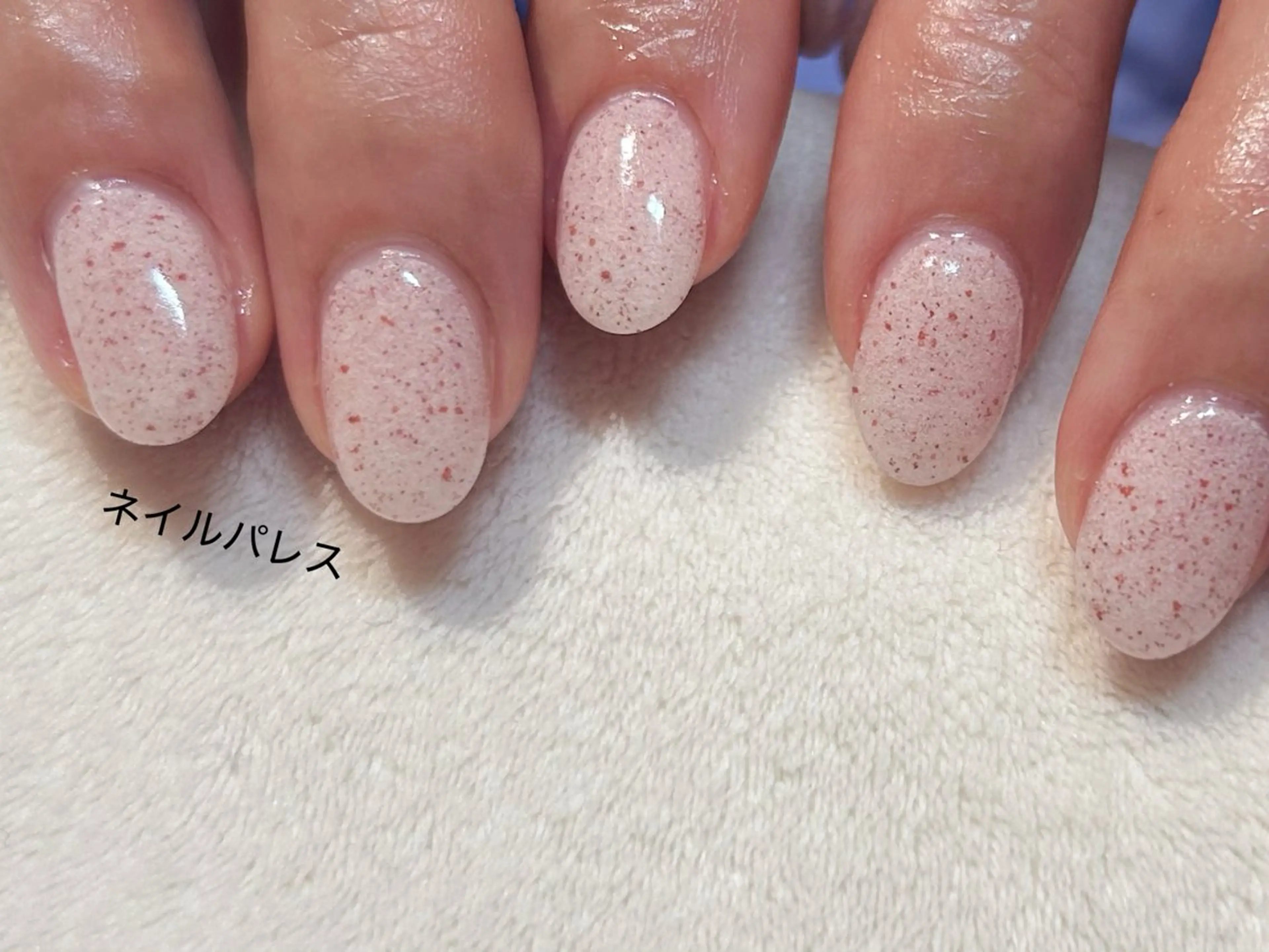 ネイル ハンドネイル ネイルパレス所属・ネイルパレス【デザ イン/恵比寿】のネイルデザイン