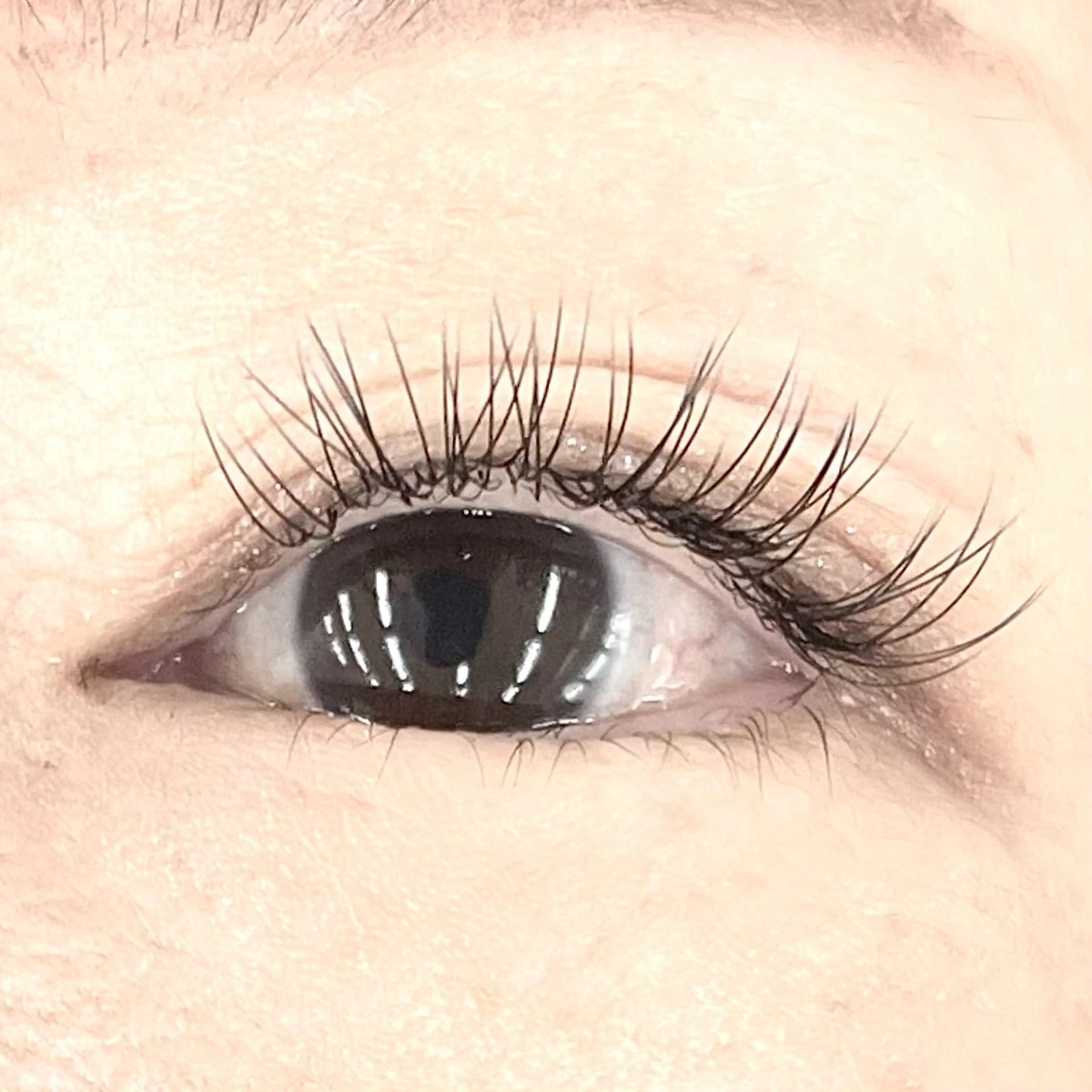 マツエク・マツパ Eyelash 大阪梅田 MAXKELLY【アイラッシュ ウメダ マックスケリー】所属・🦋maxkelly .mizuki🦋のマツエク・マツパデザイン