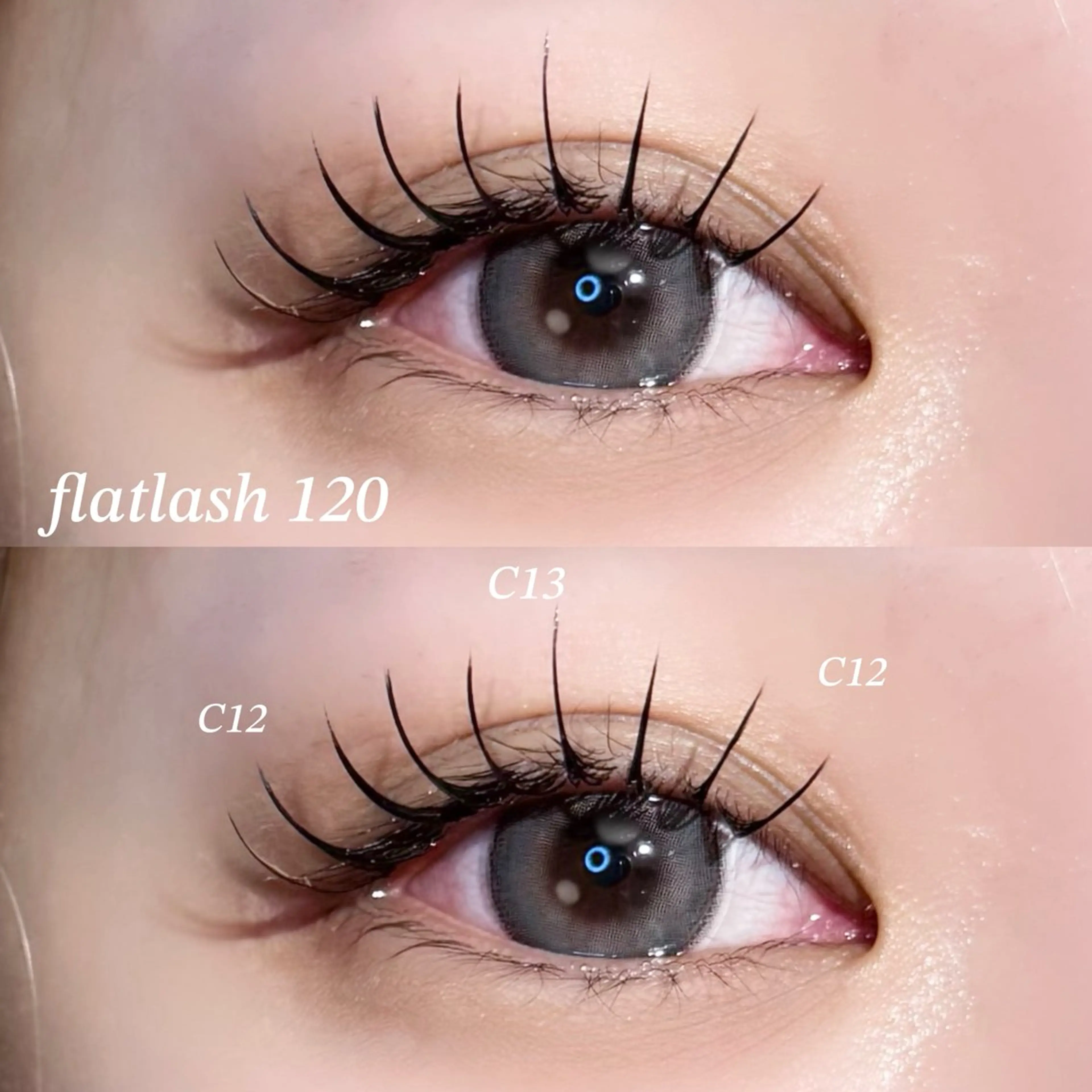 フラットラッシュ【120本】🧸⚠︎オフ代¥550⚠︎︎LEDグルー変更¥1100の写真