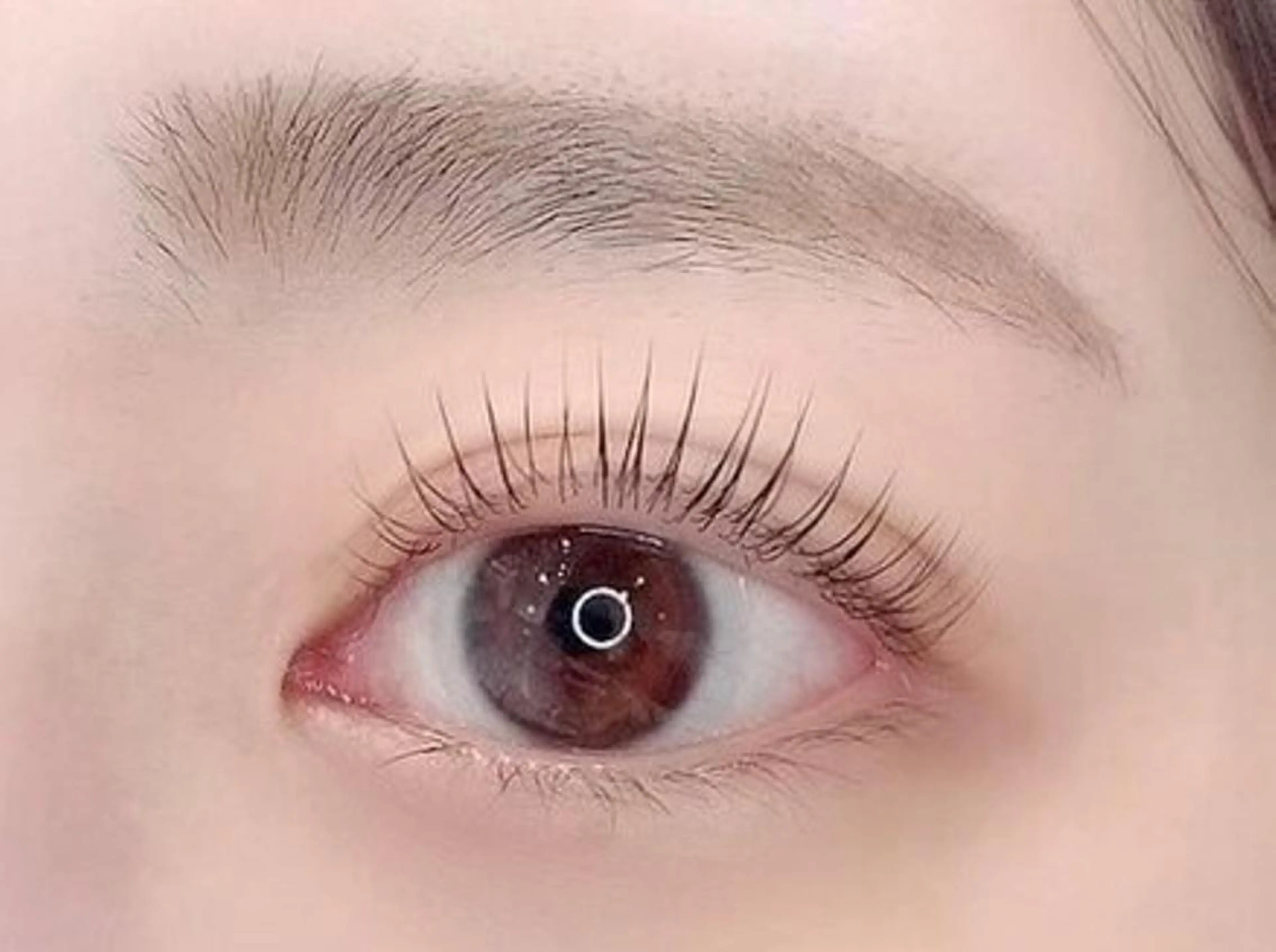 マツエク・マツパ アイブロウ 眉カラー 眉毛ワックス脱毛 ケラチンラッシュリフト まつげパーマ 下まつげエクステ やまとなでしこ💜 AYAのマツエク・マツパデザイン