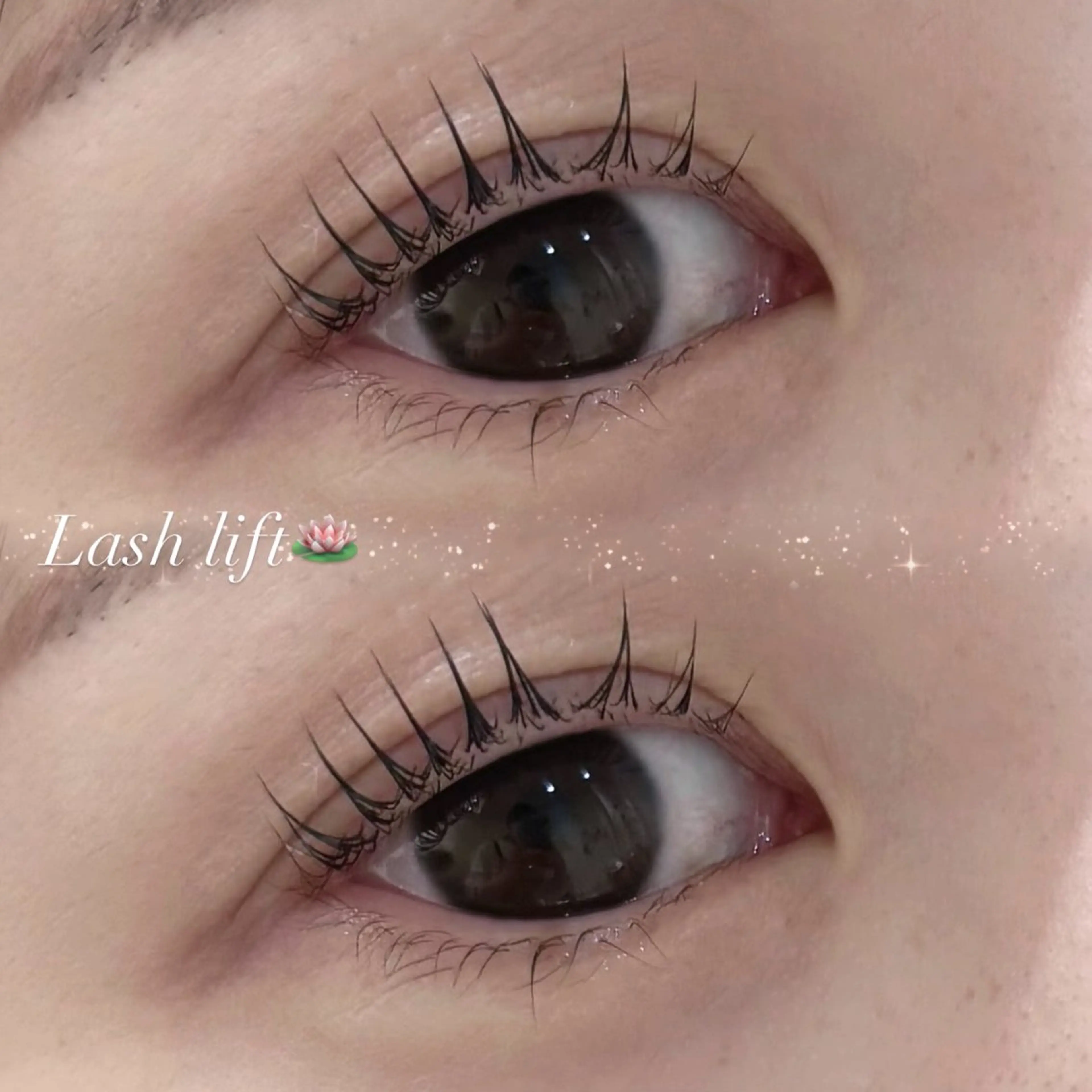 マツエク・マツパ ふじわら ありさのマツエク・マツパデザイン