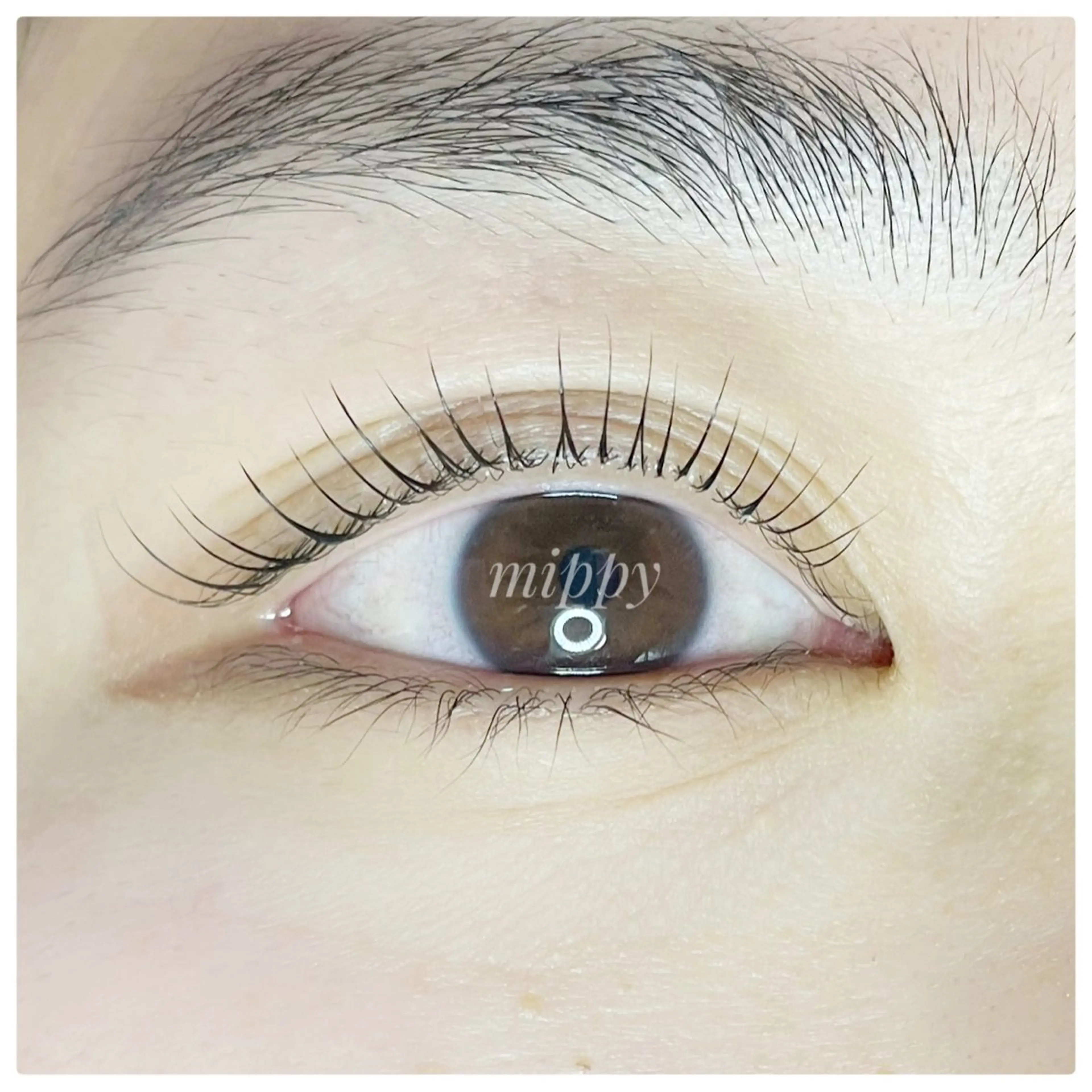 マツエク・マツパ ｍｉｐｐｙ 🪽のマツエク・マツパデザイン