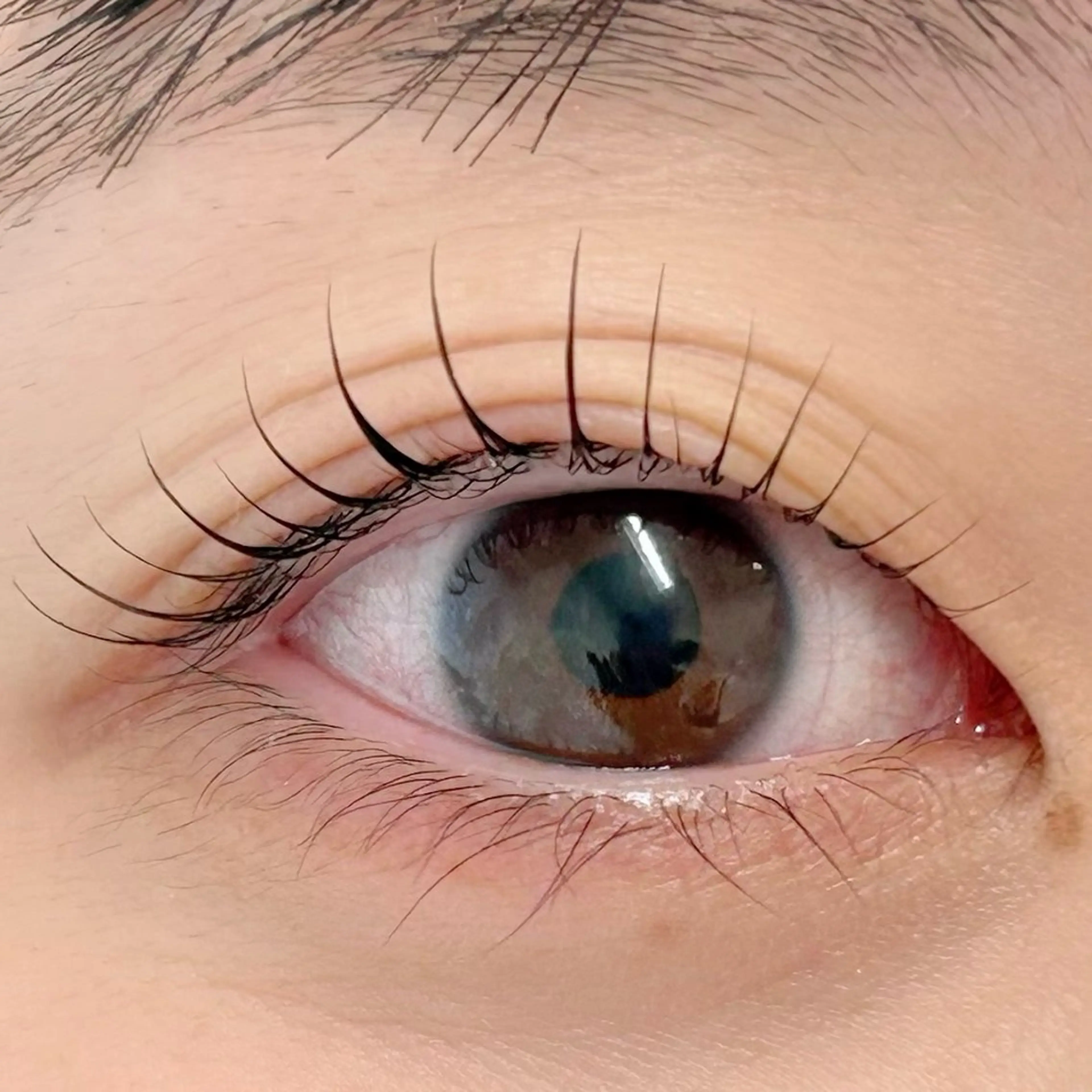 マツエク・マツパ パリジェンヌラッシュリフト 一重×まつ毛パーマ BellFlower Aki（眉・まつげ）のマツエク・マツパデザイン