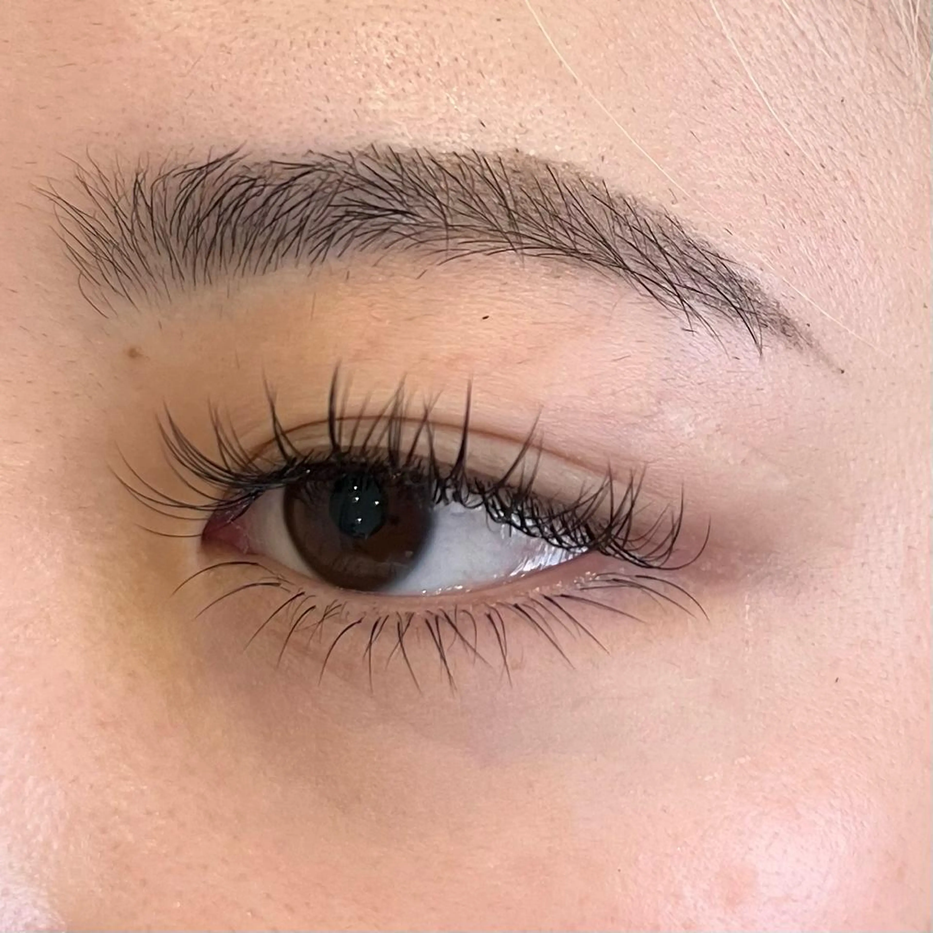 マツエク・マツパ Jカール 下まつげエクステ 🤍plume🤍 遠山のマツエク・マツパデザイン