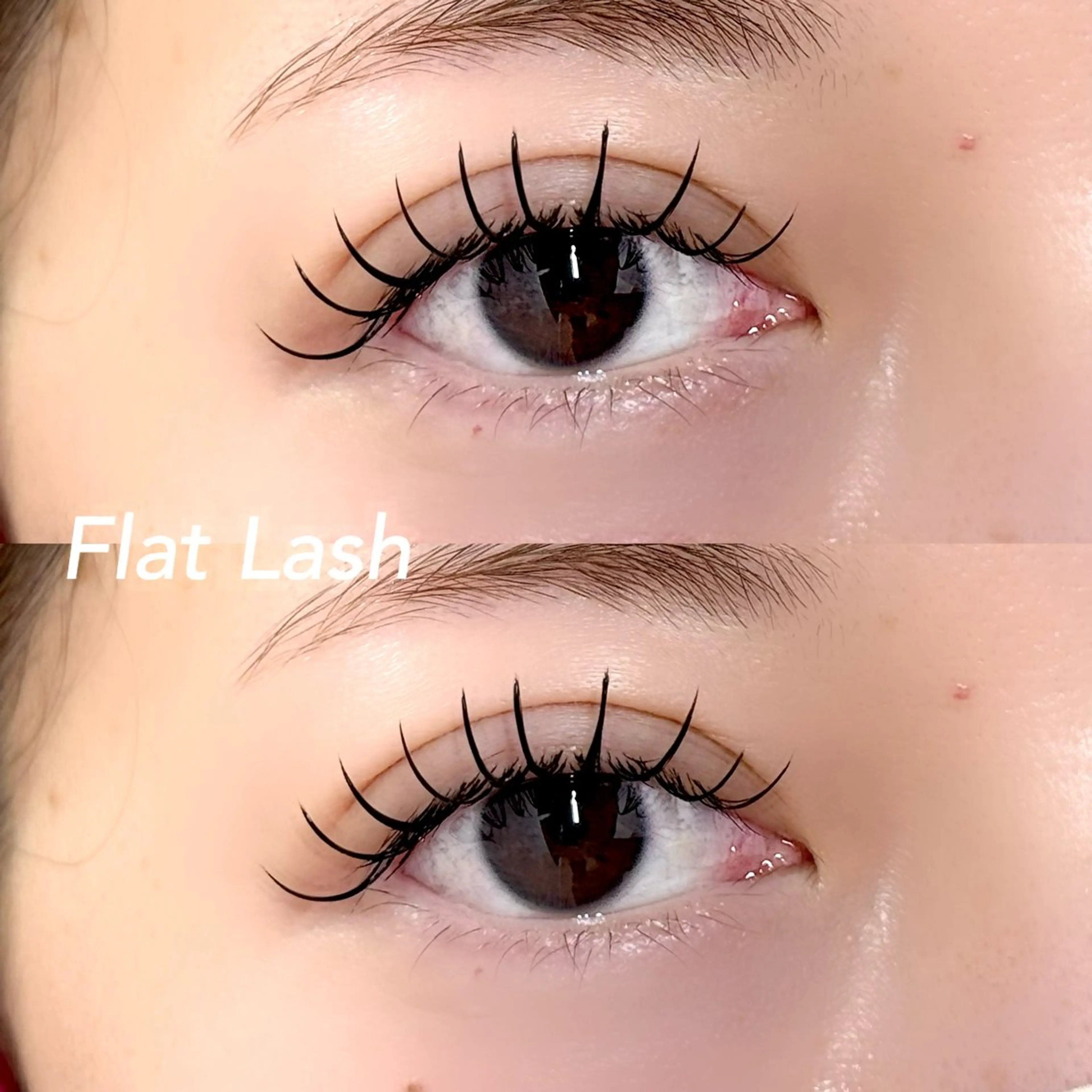 フラットラッシュ130の写真