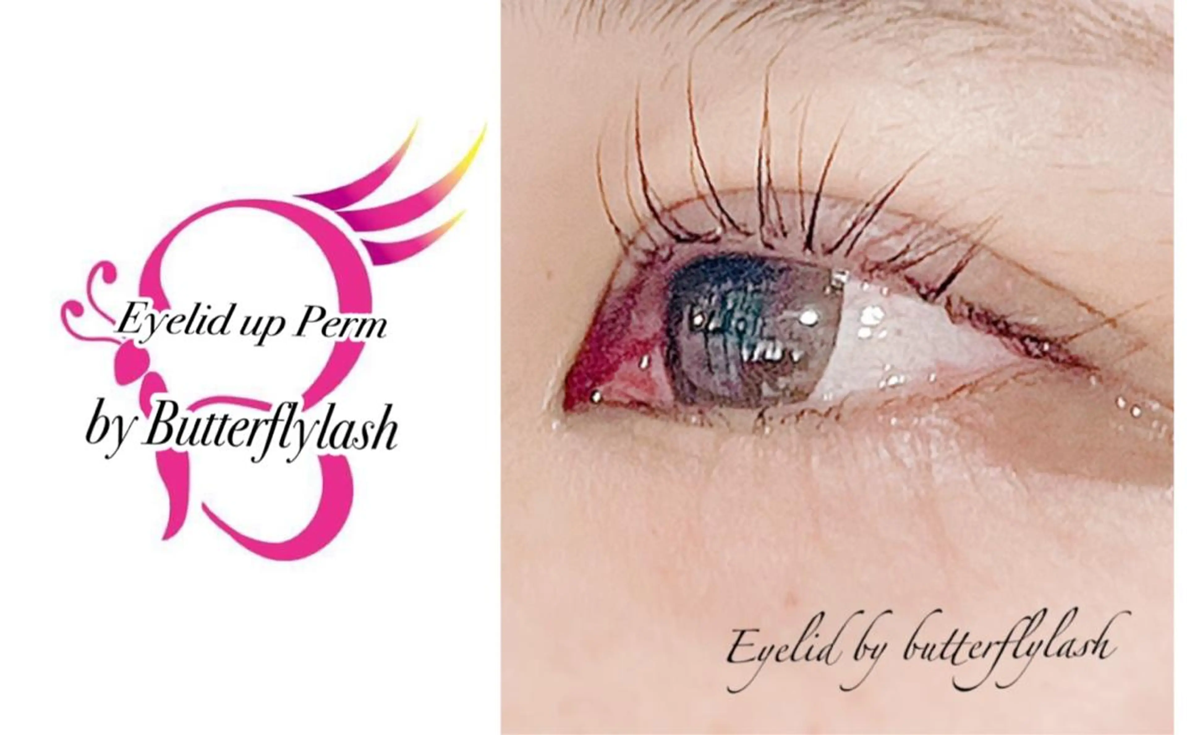 マツエク・マツパ アイリッドアップパーマ マツエク&まつ毛カールサロン　バタフライ・ラッシュ所属・下がりまつ毛たるみ 専門サロン妙蓮寺駅のマツエク・マツパデザイン