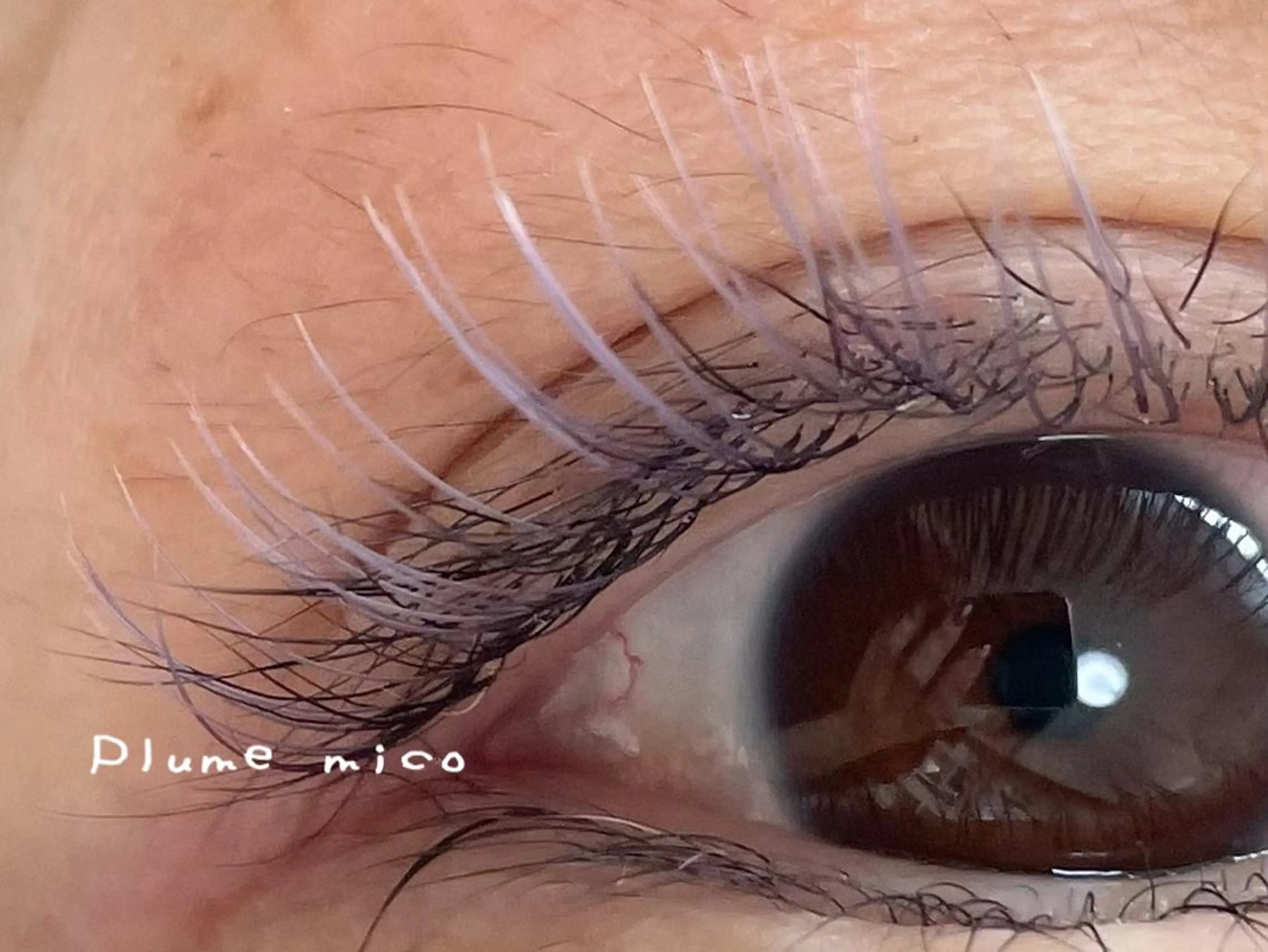 マツエク・マツパ マツエク Plume micoのマツエク・マツパデザイン