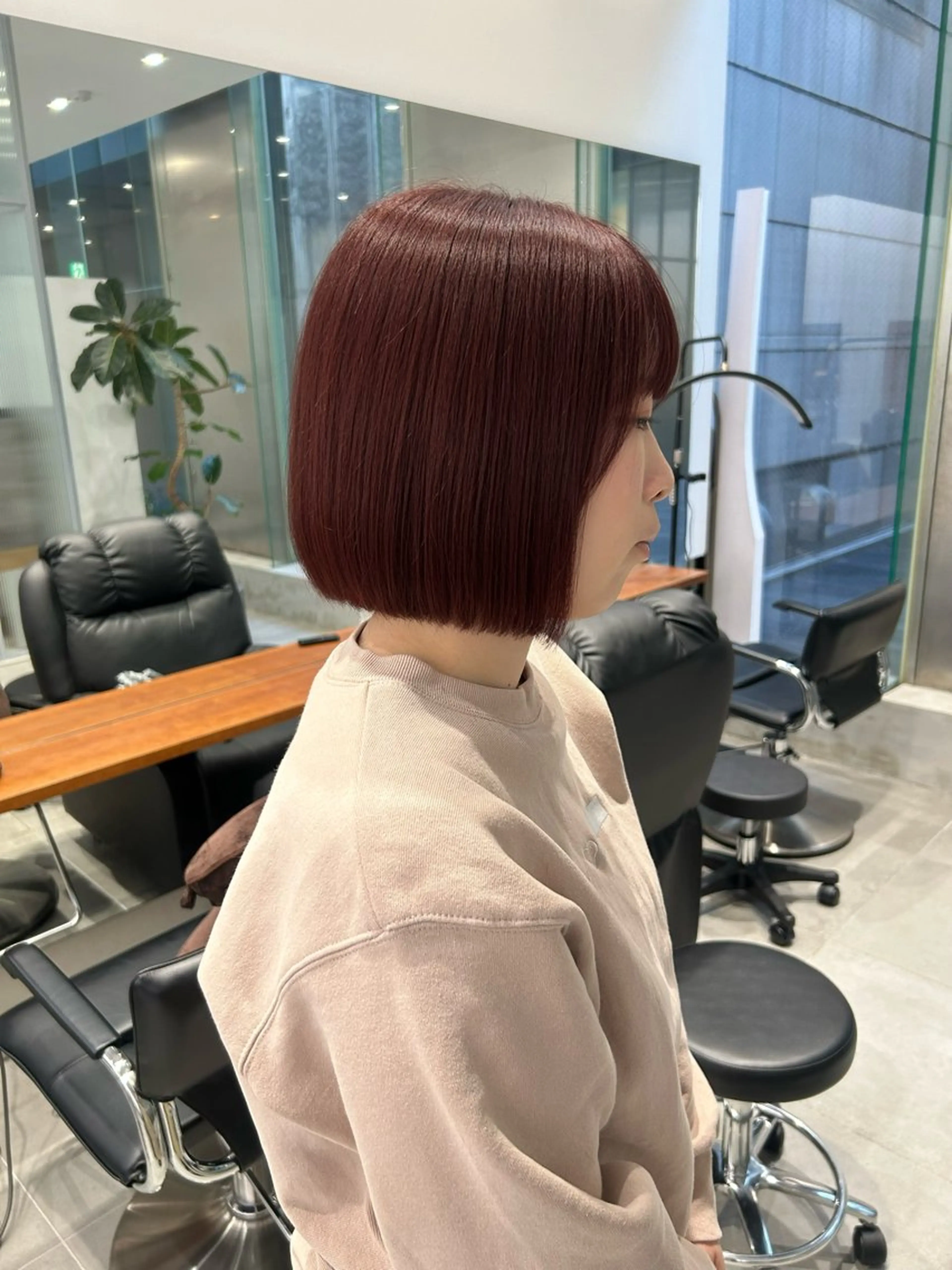 ショート カラー 透明感ハイトーン/ レイヤー/セイナのヘアスタイル