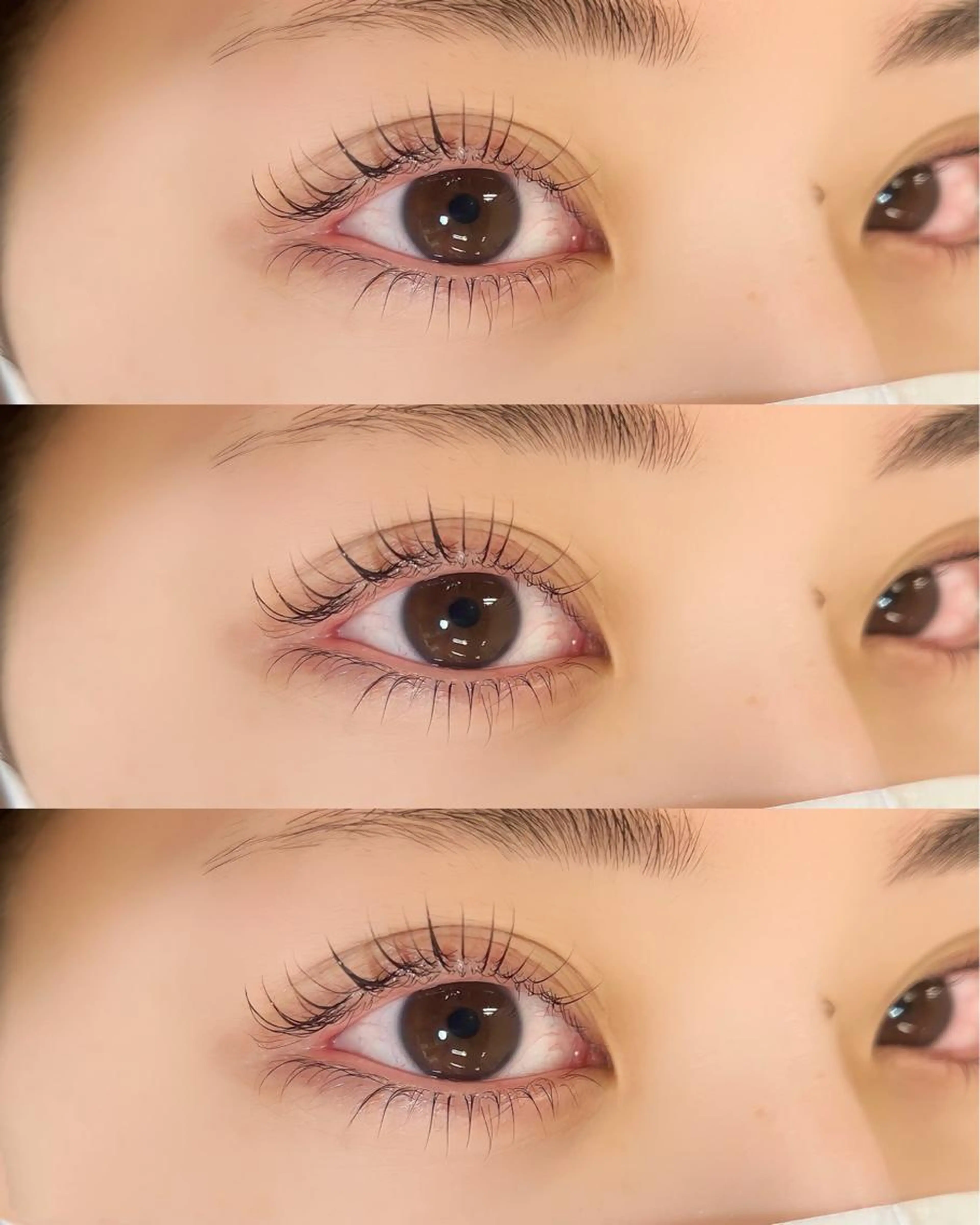 ◎上下lash lift (パーマ)🍒の写真