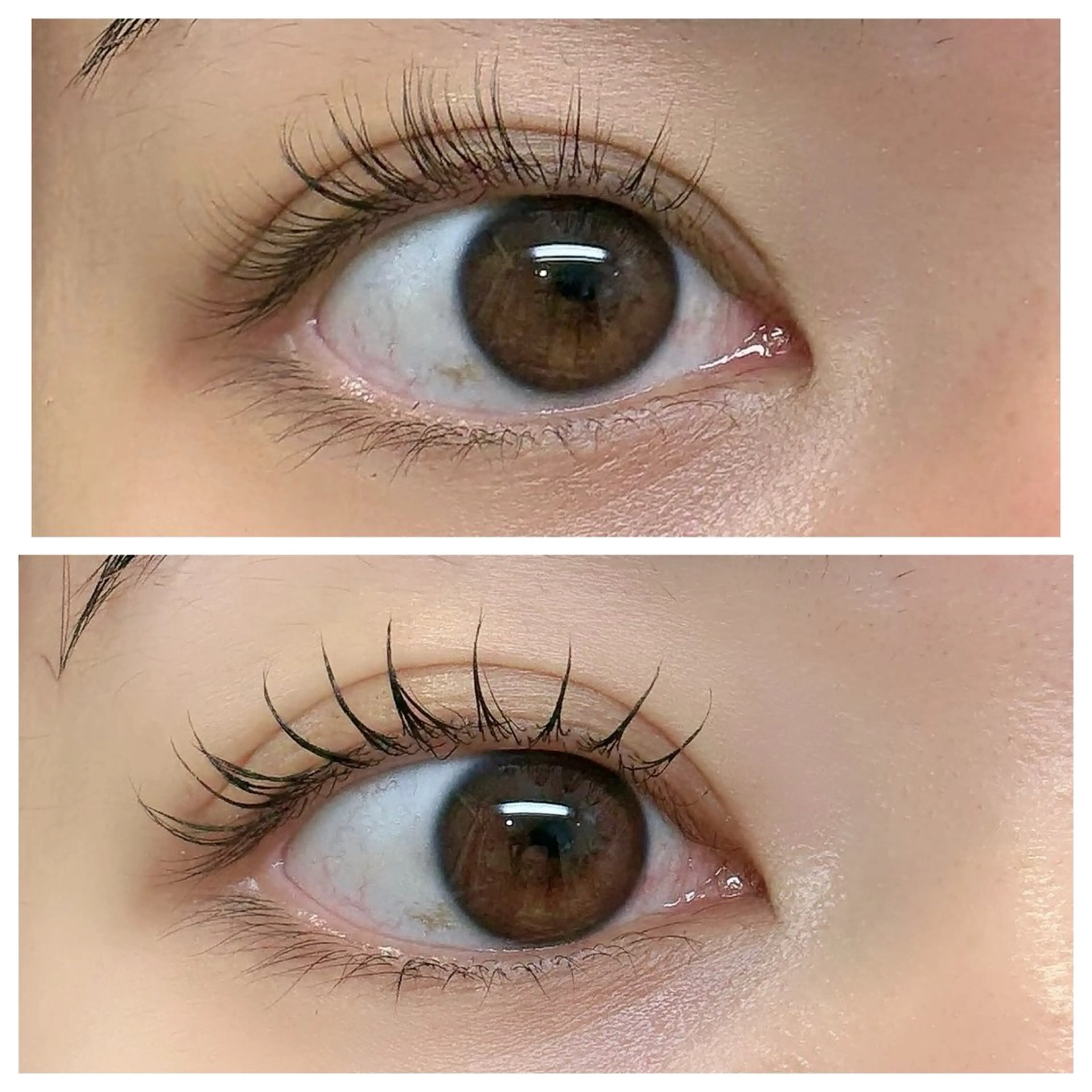 ラッシュリフト(ケラチントリートメント込み)アイシャンプー込みの写真