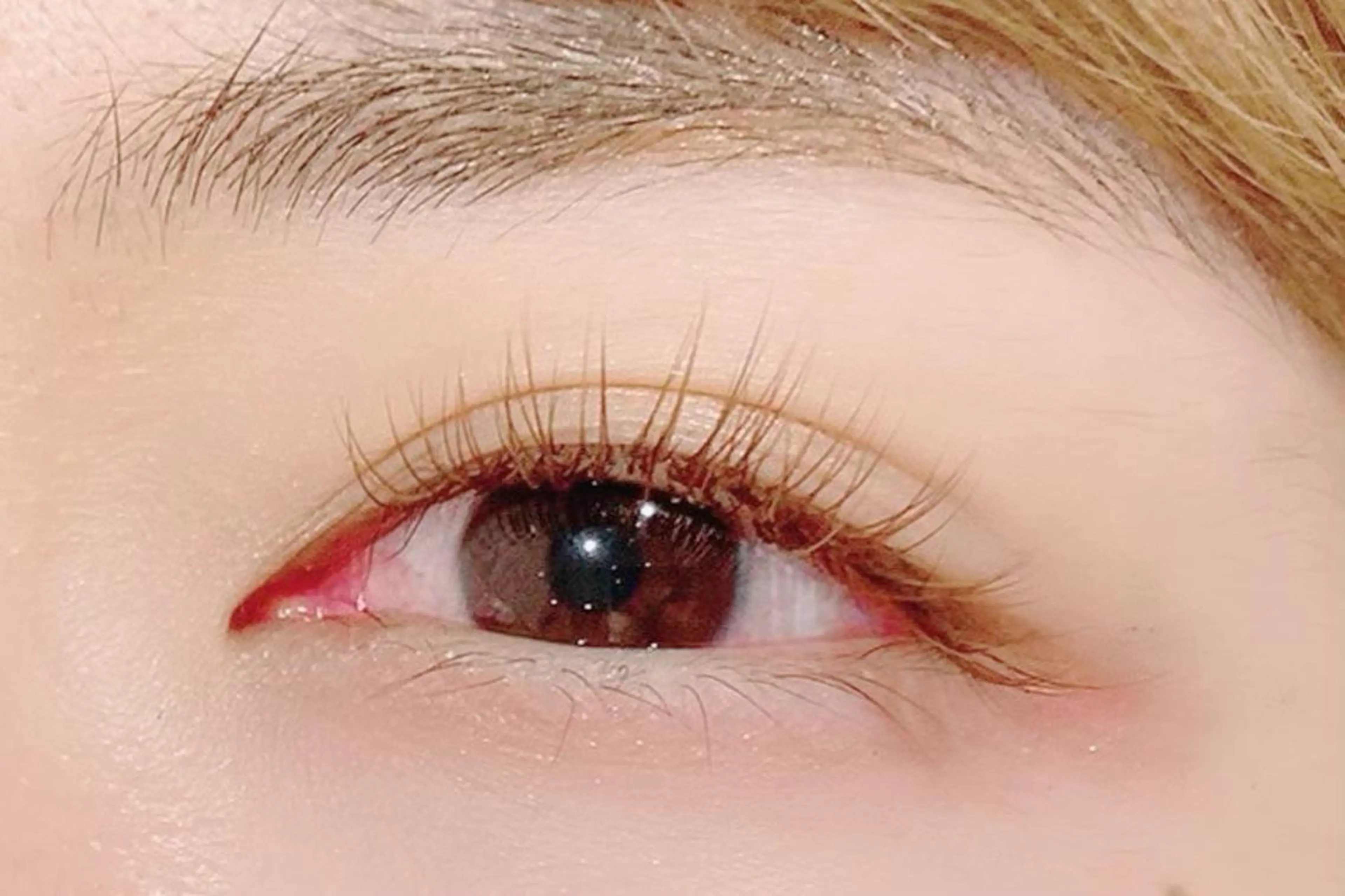 マツエク・マツパ 池袋駅韓国風🇰🇷 束感💗Tomoのマツエク・マツパデザイン