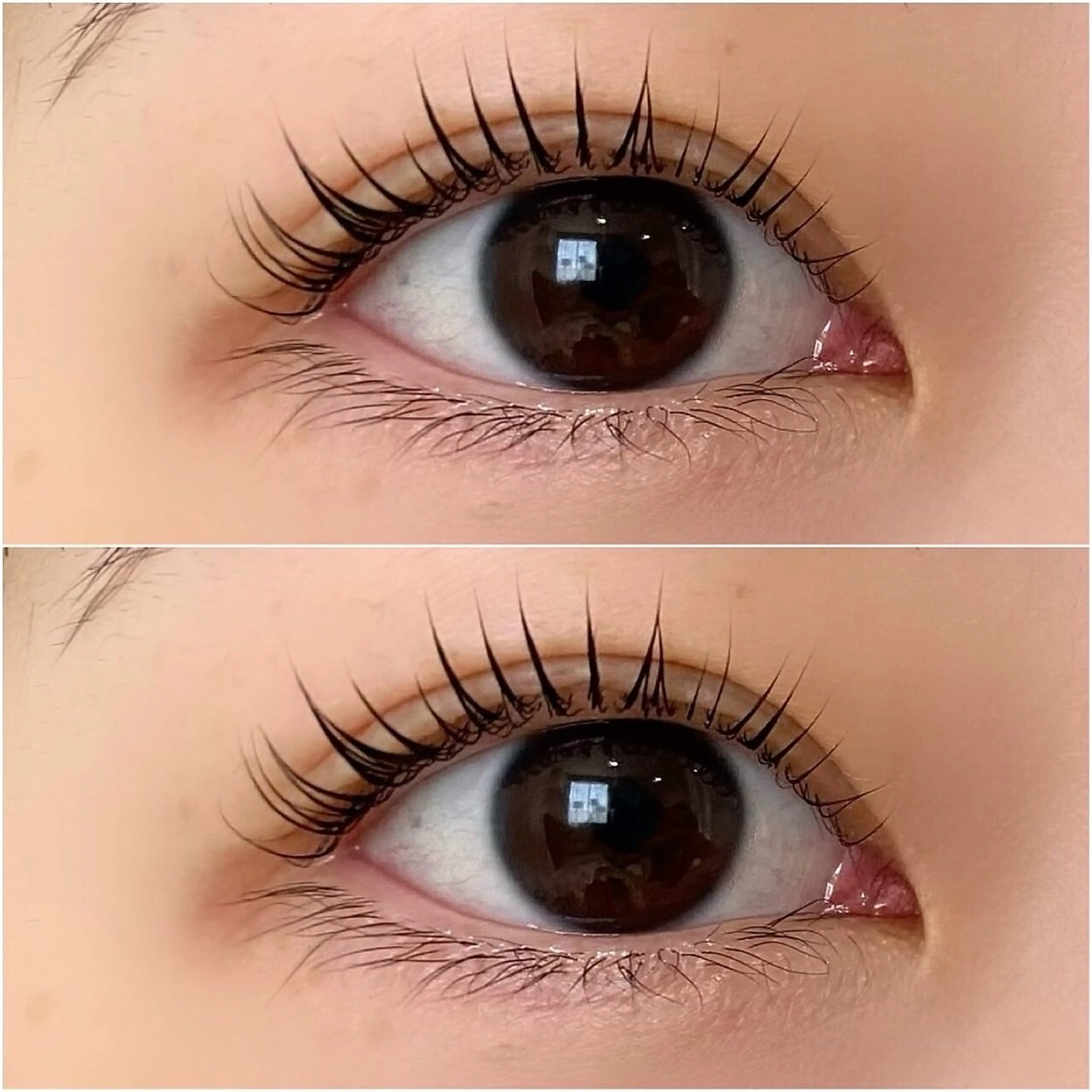 まつげパーマ（ラッシュリフト）＋トリートメント+アイシャンプーの写真