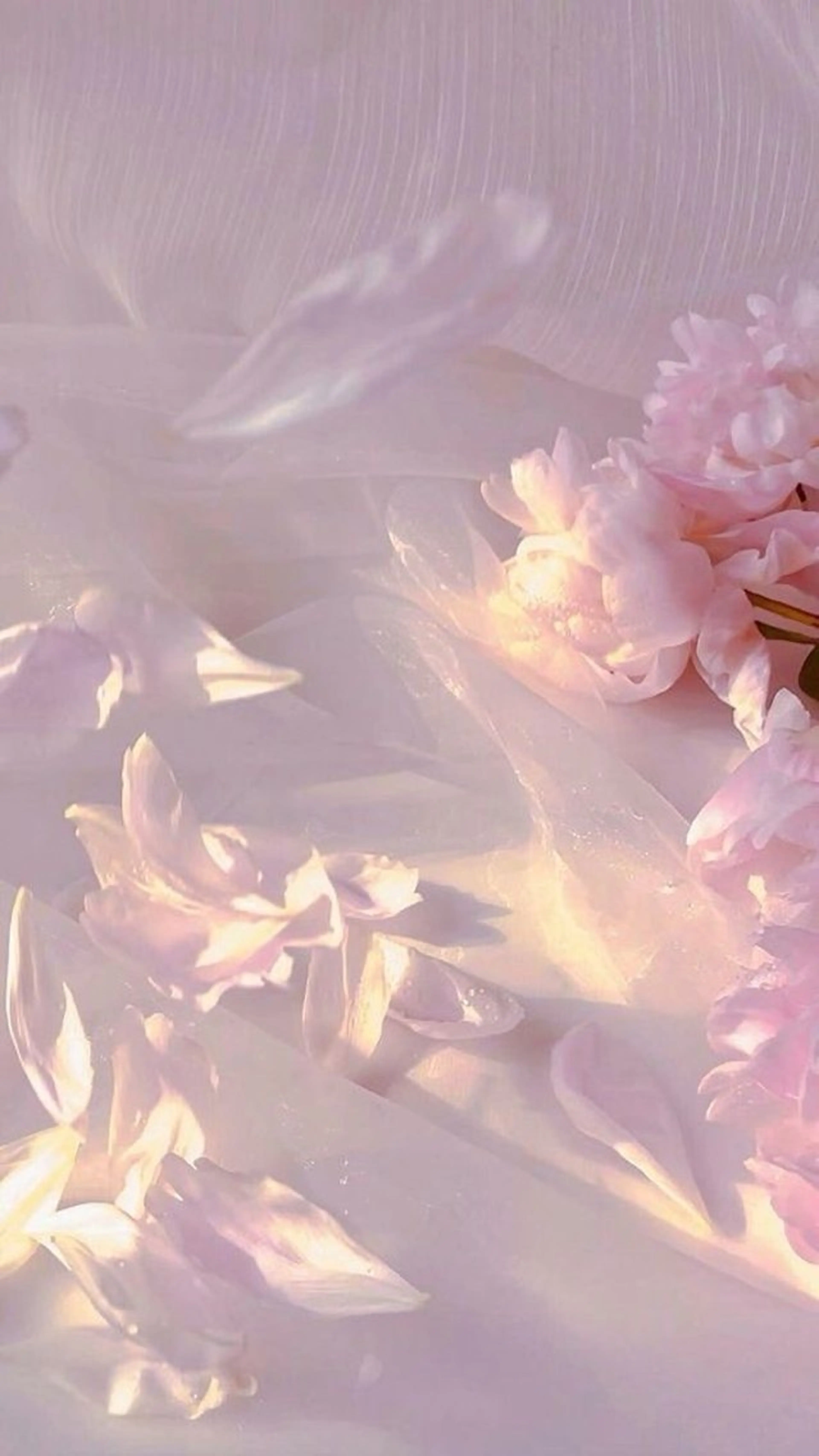 ネイル asuka 🐰のネイルデザイン