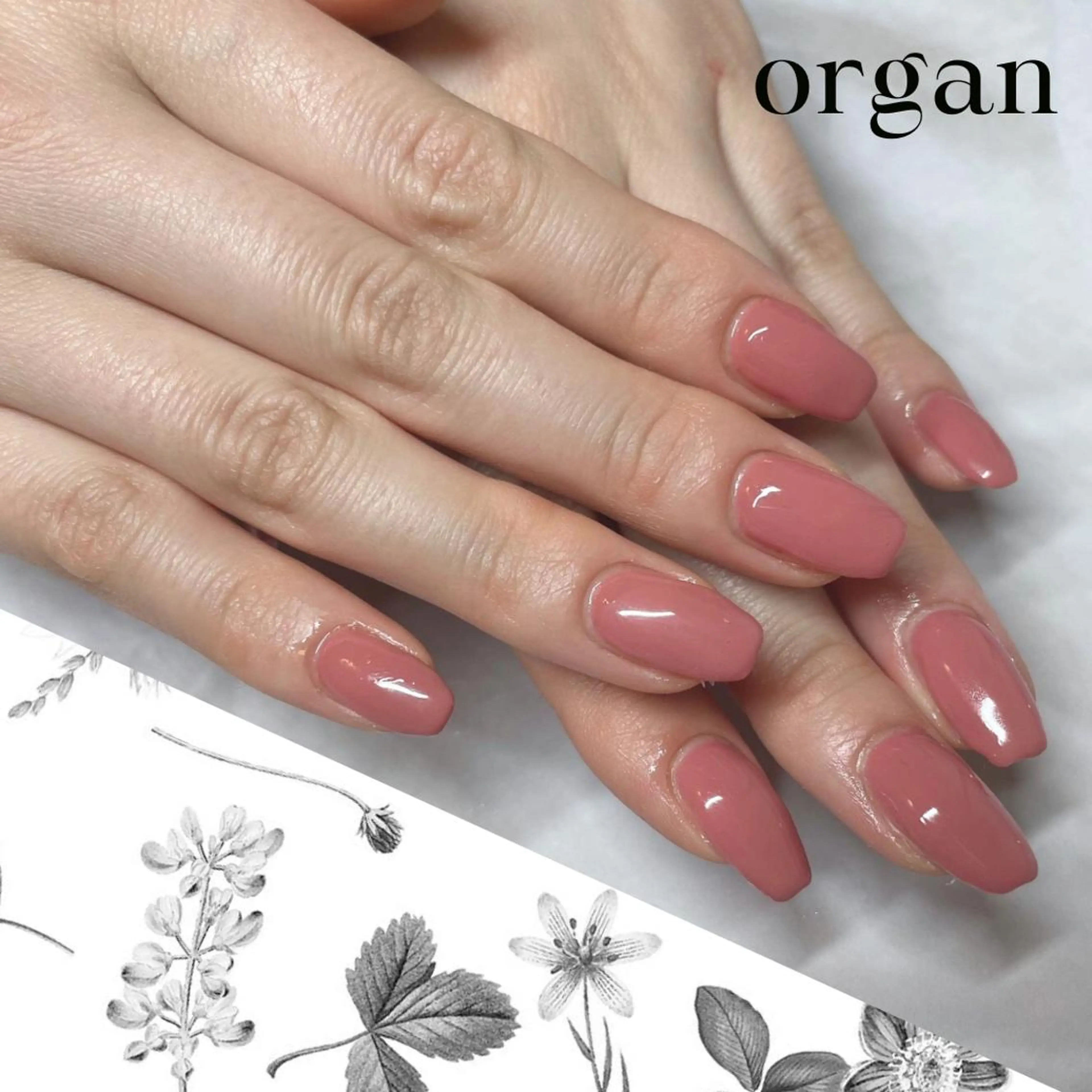 ネイル ワンカラーネイル 【ＯＲＧＡＮ】 nailのネイルデザイン