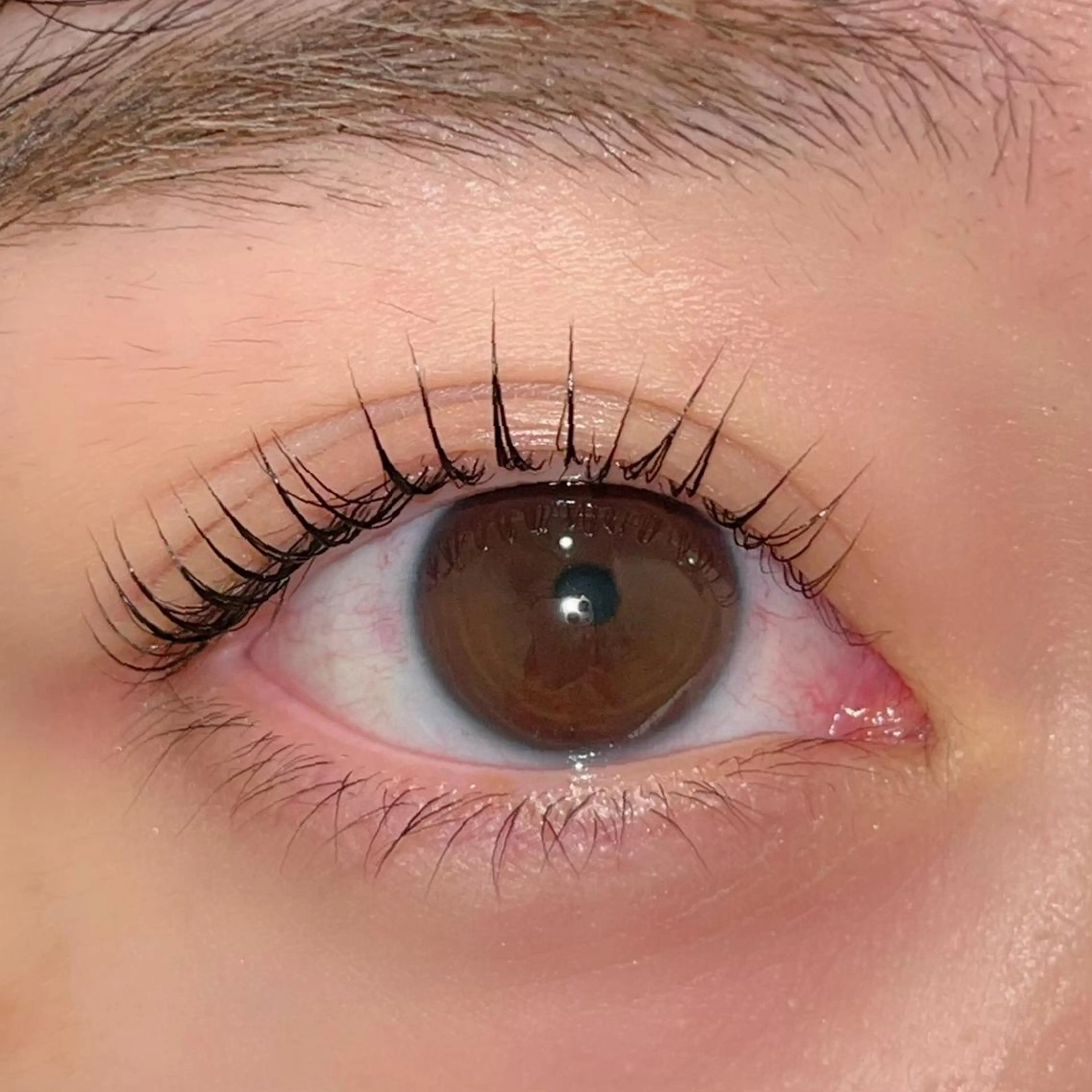 マツエク・マツパ パリジェンヌラッシュリフト まつげパーマ ai一重専門🎀束感 まつげ🫧表参道のマツエク・マツパデザイン