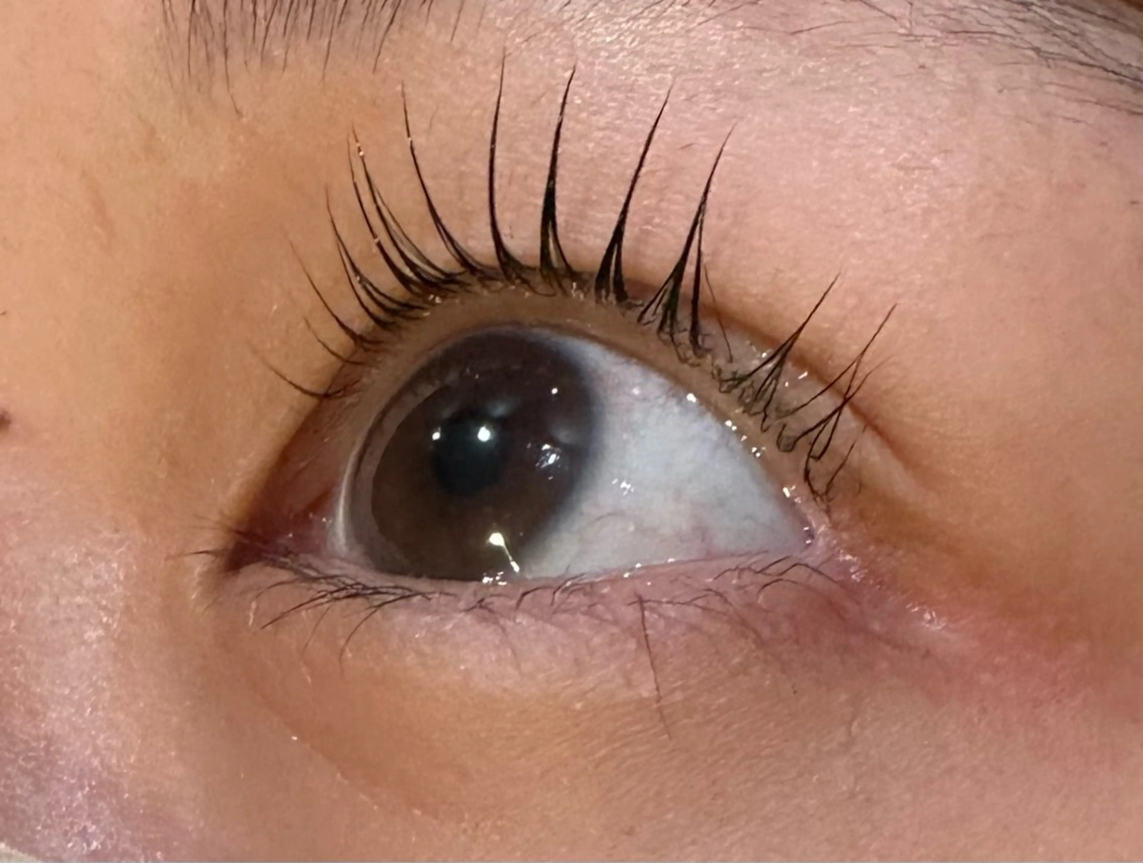 🎫マツパチケットをお持ちのお客様🎫の写真