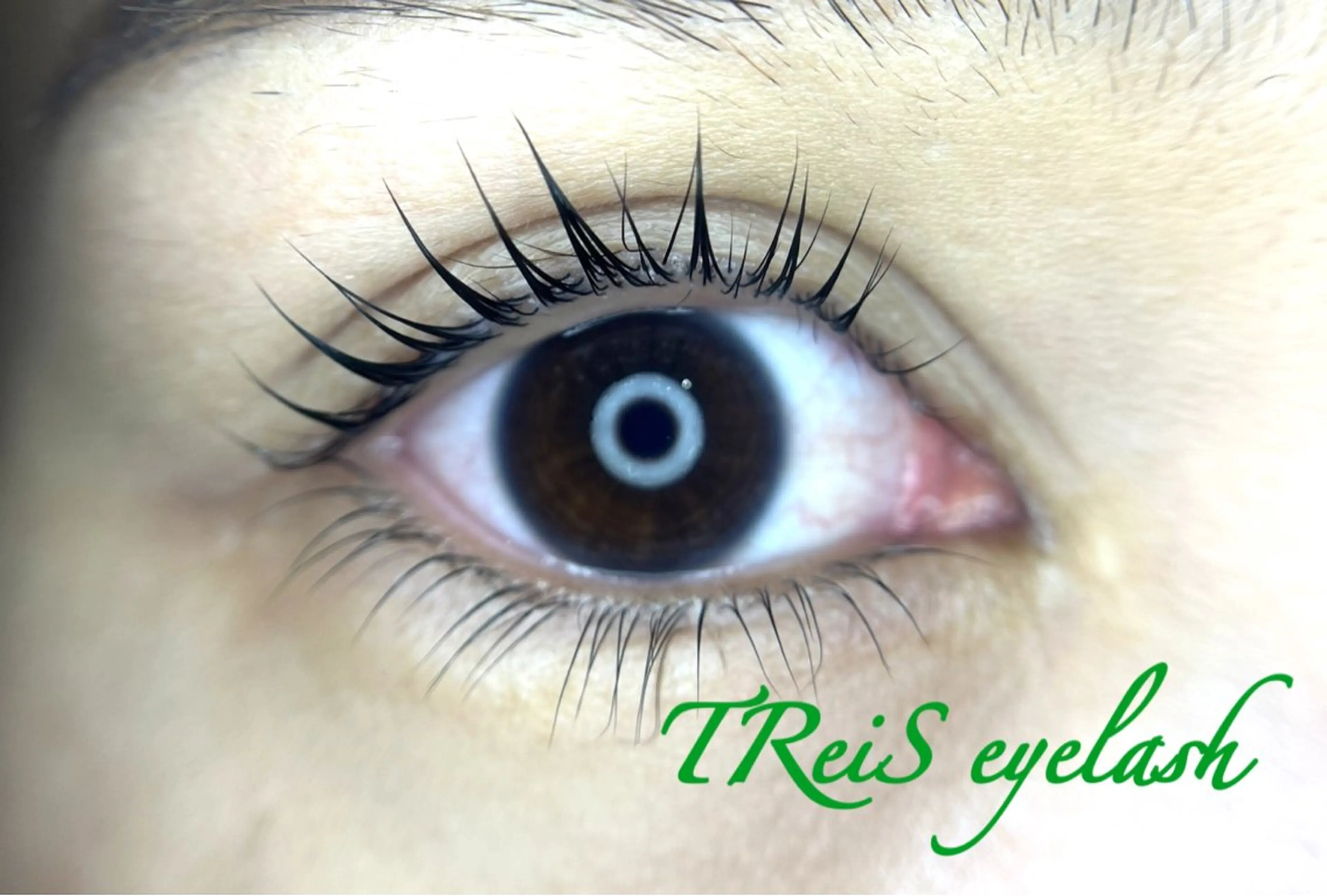 マツエク・マツパ TReiS所属・TReiS eyelashのマツエク・マツパデザイン