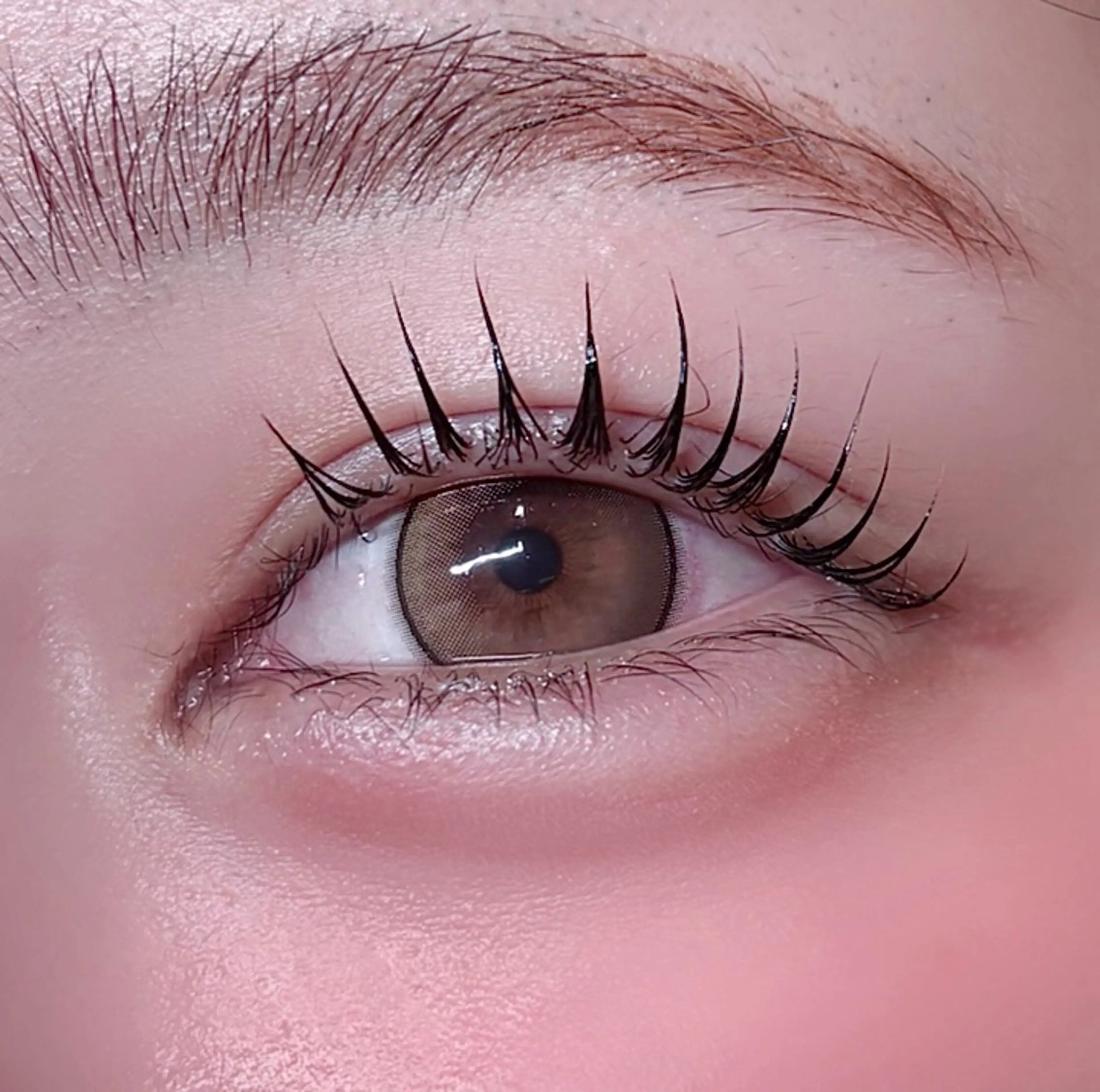 【✨12月限定✨】🉐30%off⟡🎀上下まつげパーマ🎀〔パリジェンヌorまつげカール〕コーティングお仕上げ付き♡の写真