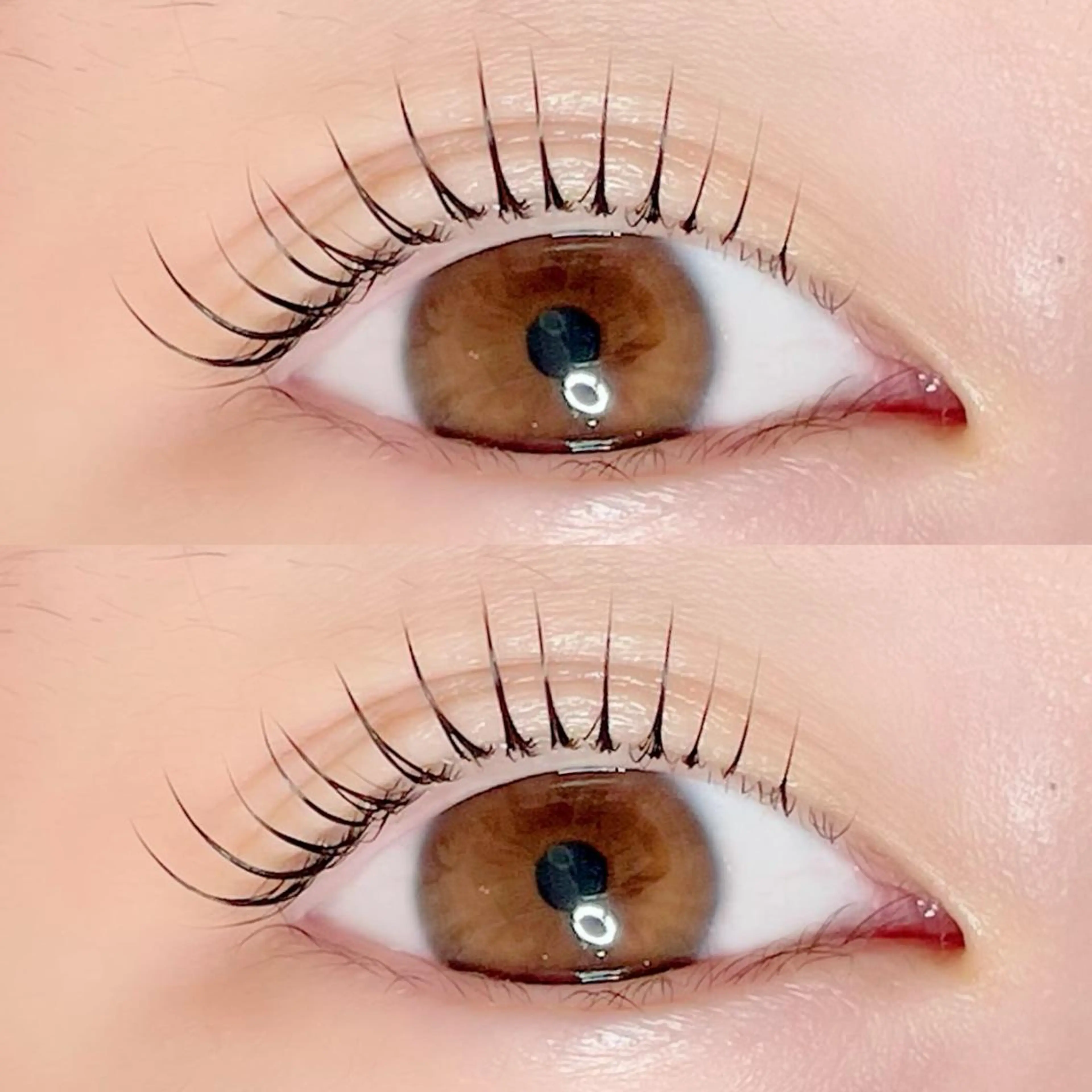 マツエク・マツパ AYLASH🧡 猪又のマツエク・マツパデザイン