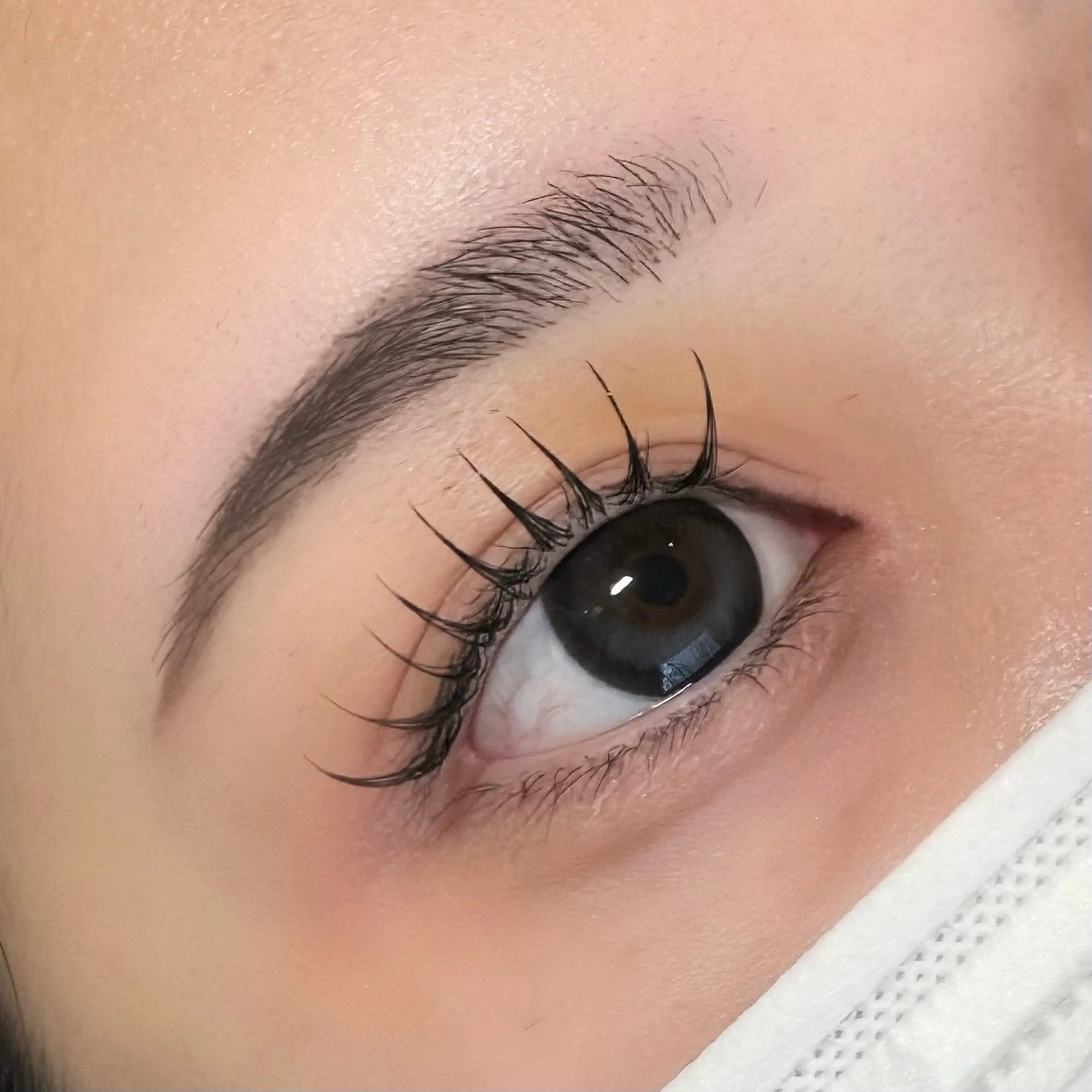 マツエク・マツパ フラットラッシュ DL･BEAUTY 🩶RISEのマツエク・マツパデザイン