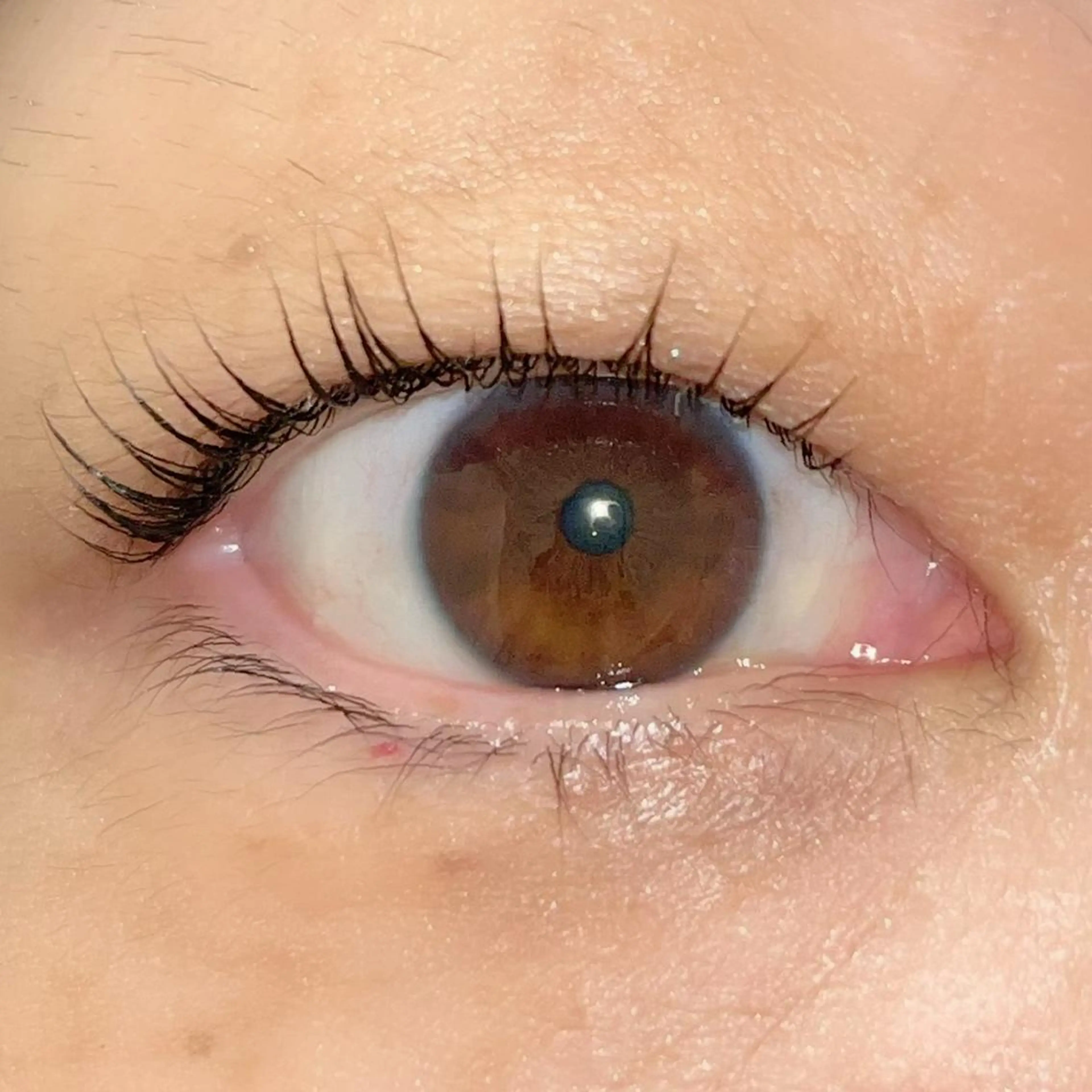 マツエク・マツパ パリジェンヌラッシュリフト まつげパーマ ai一重専門🎀束感 まつげ🫧表参道のマツエク・マツパデザイン