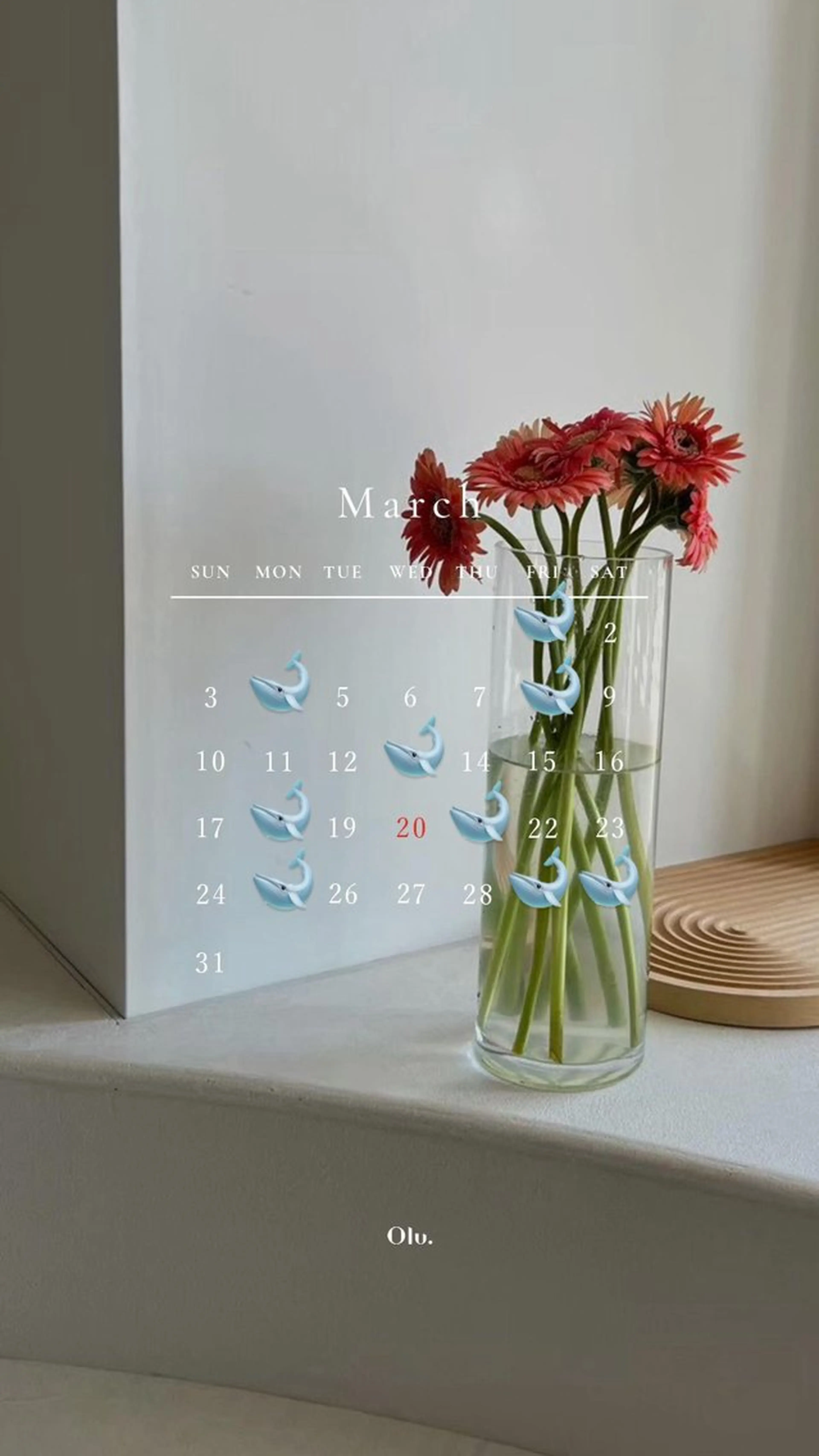 H  eyelash ⌇𝐦𝐢𝐮 ☽のマツエク・マツパデザイン