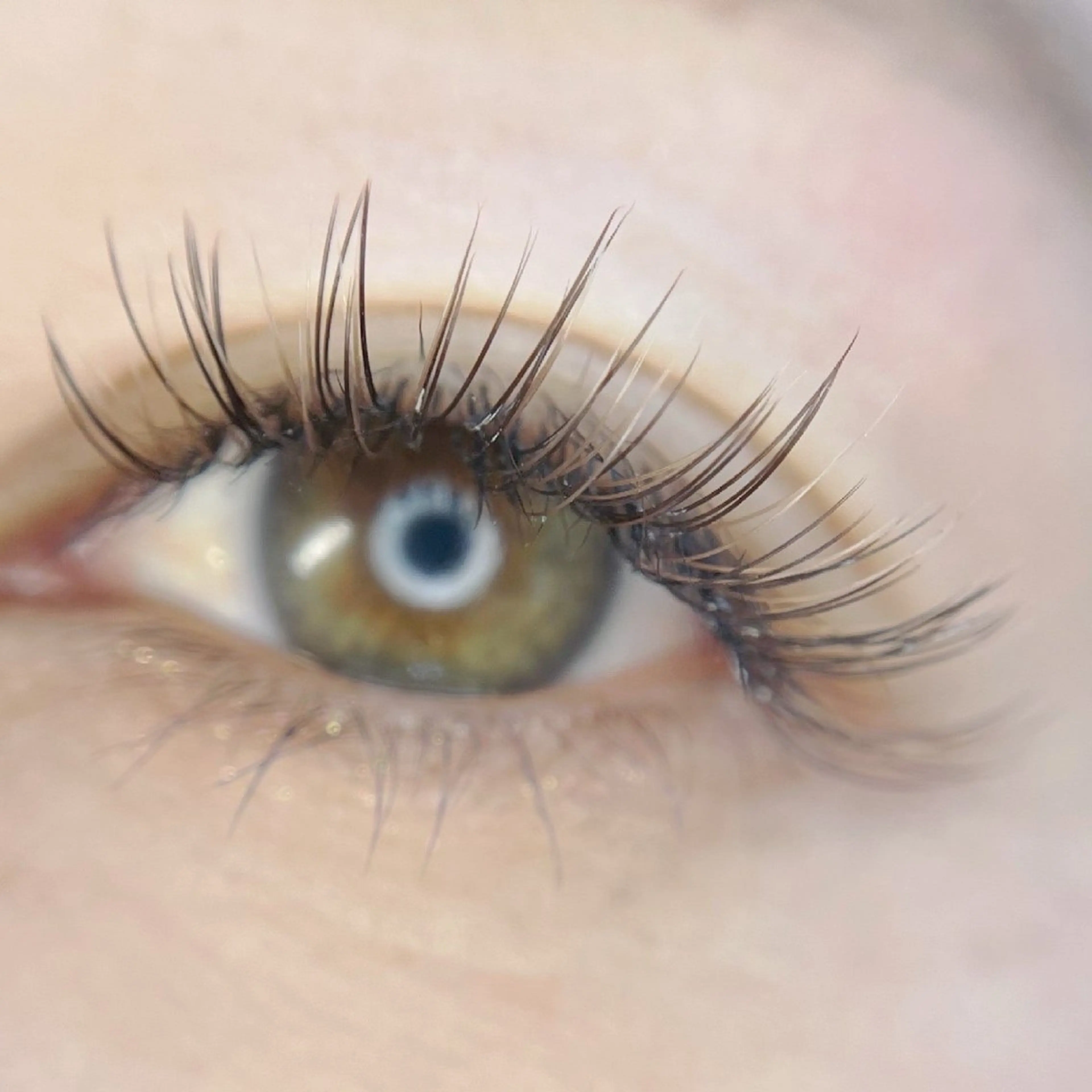 ミニモ限定❣️カラーエクステ付け放題の写真